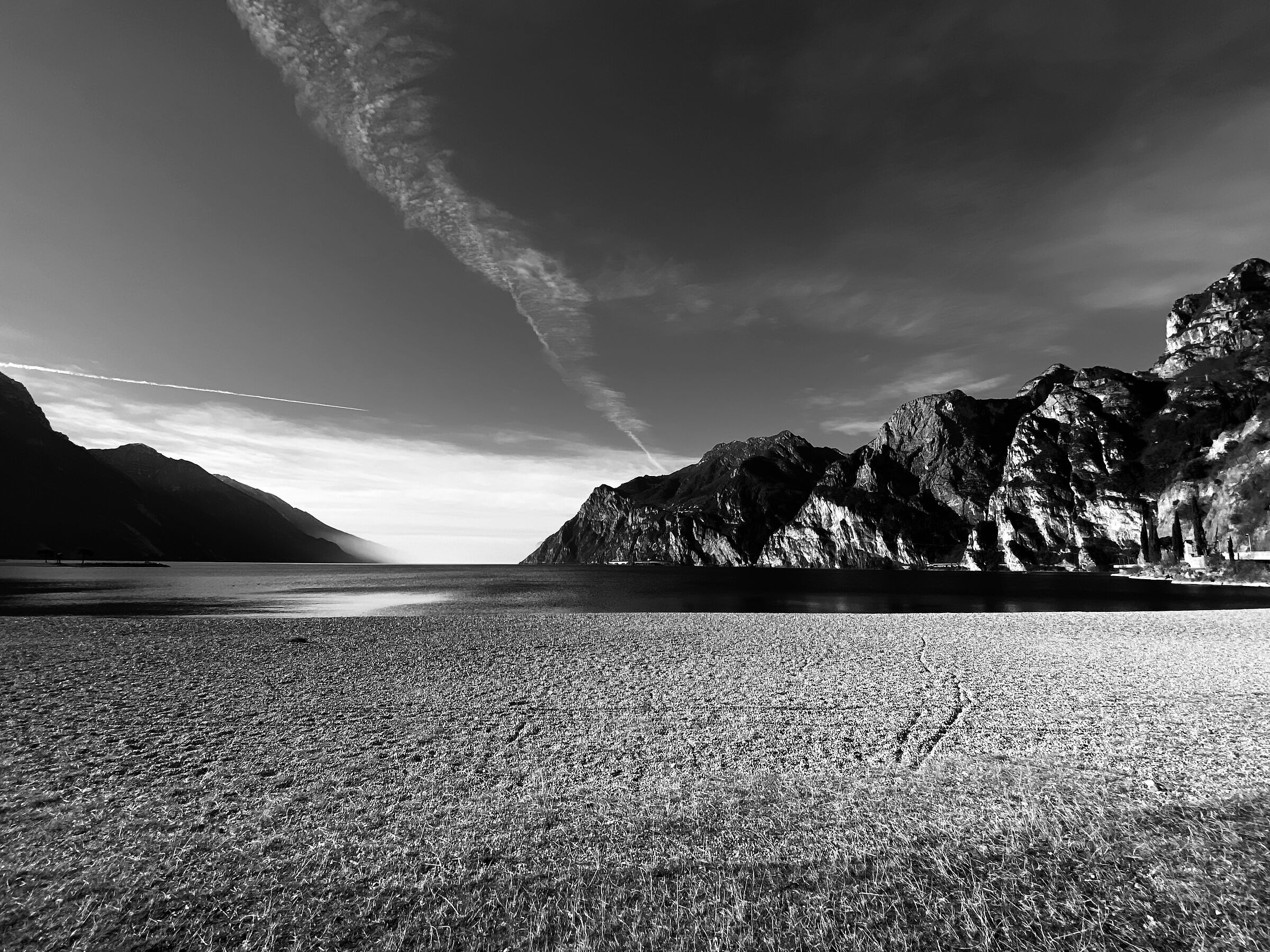 Untitled Photo