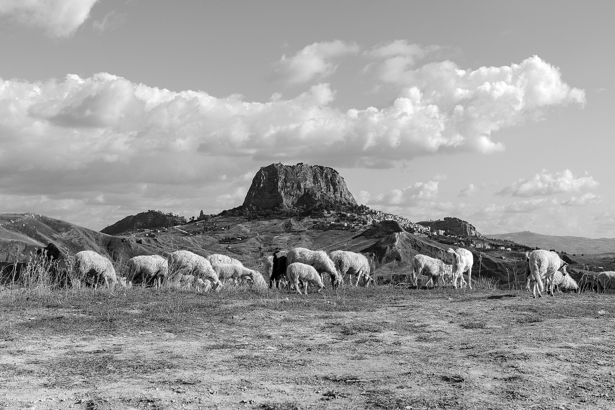 Paesaggio in B&W