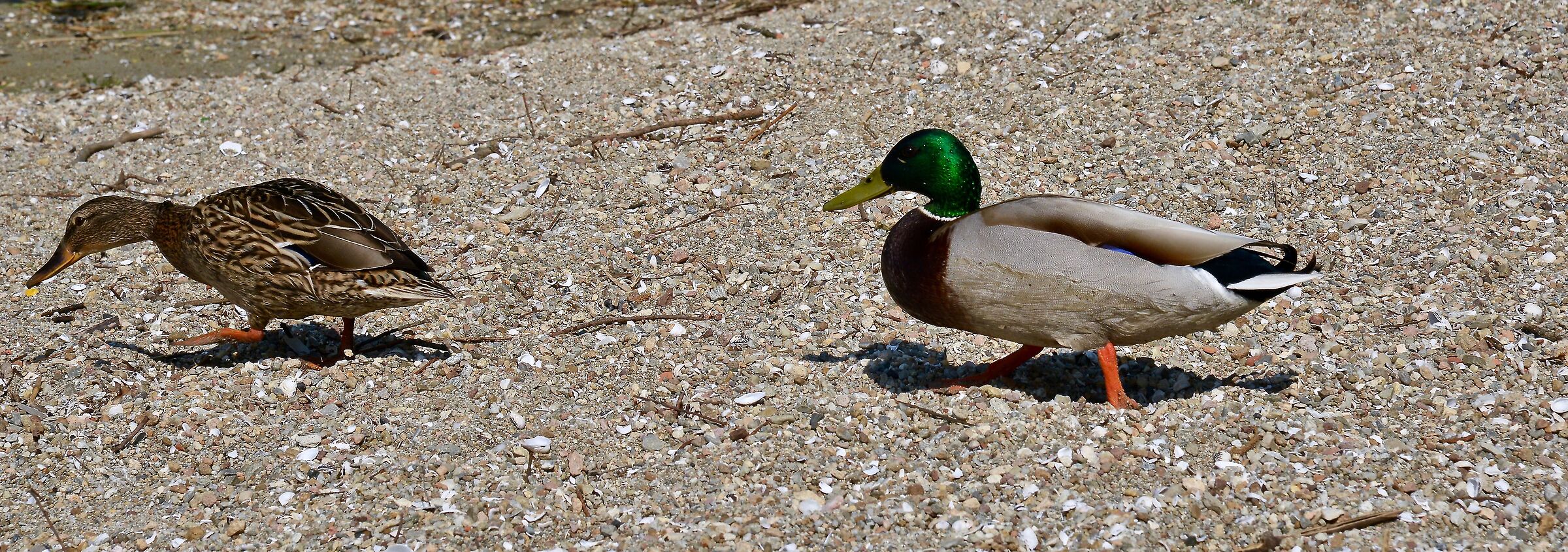 It's the same old story