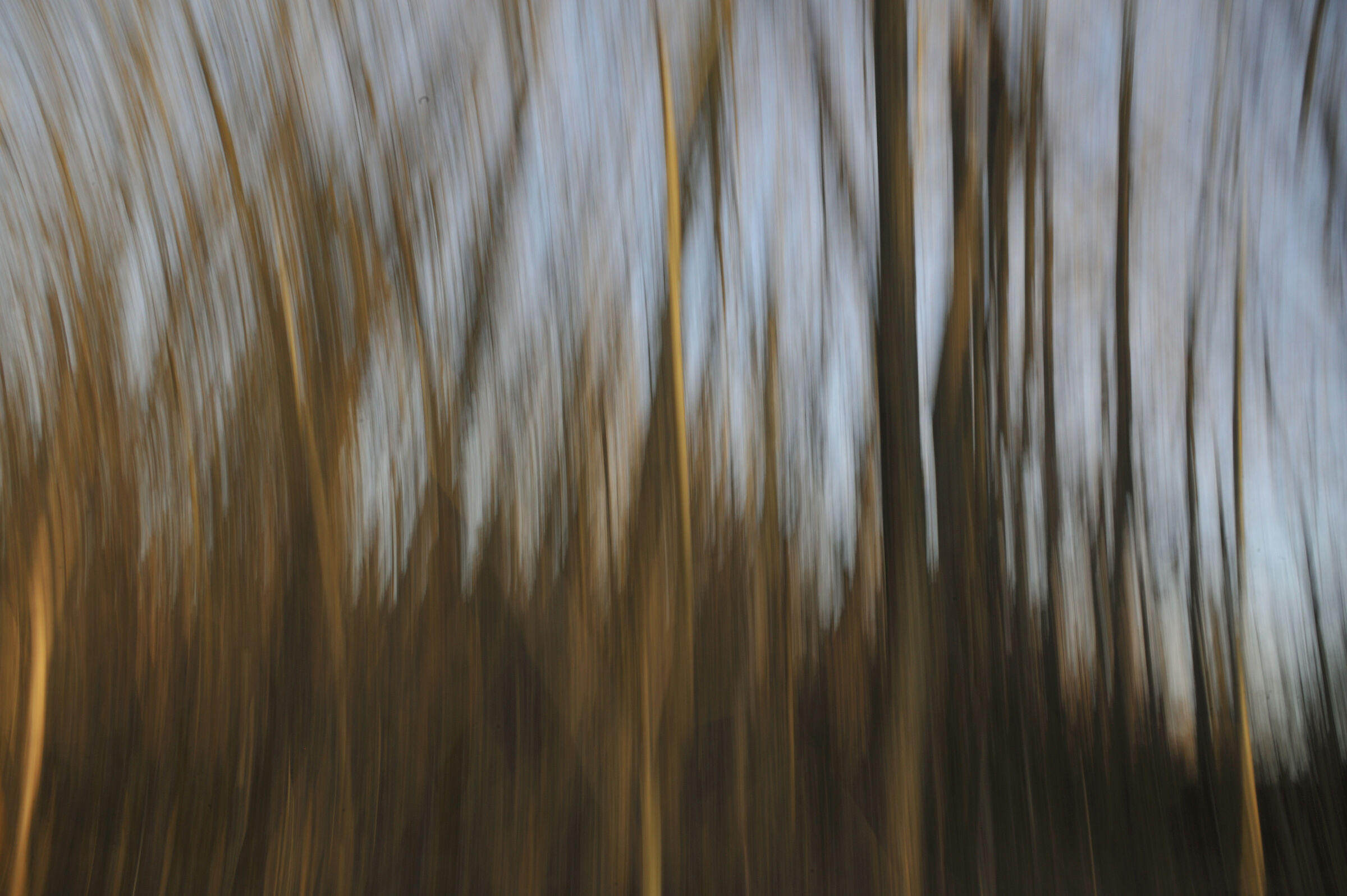 nature 2