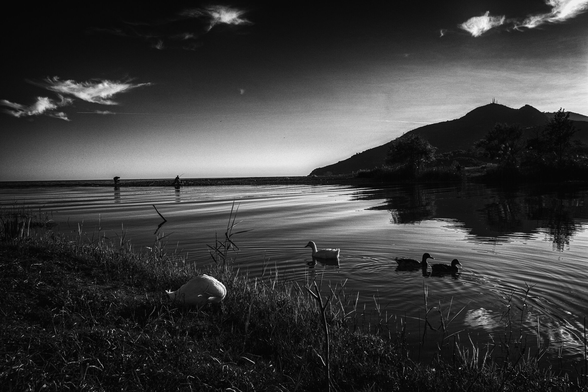 The fisherman