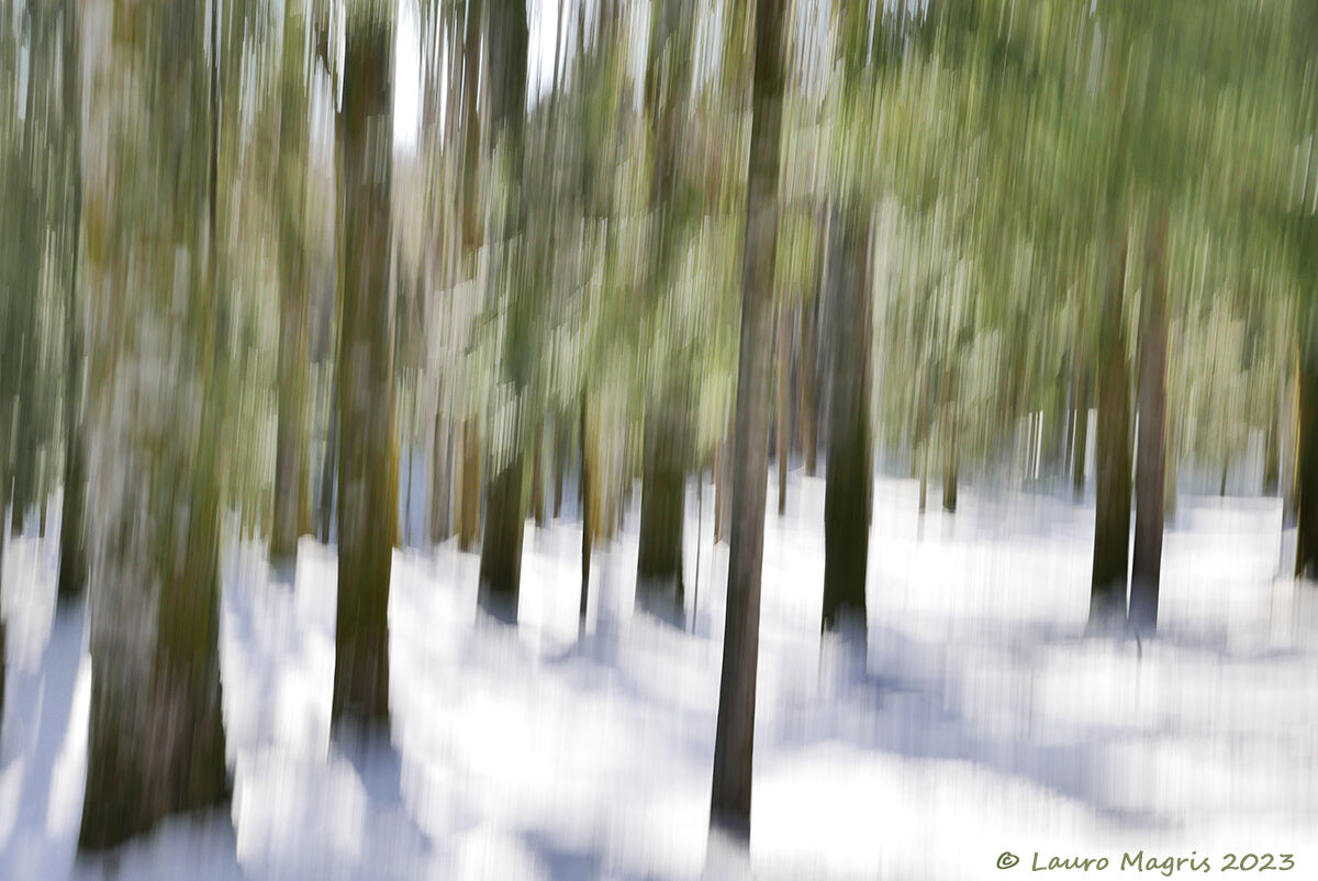 Ghiaccioli alla menta