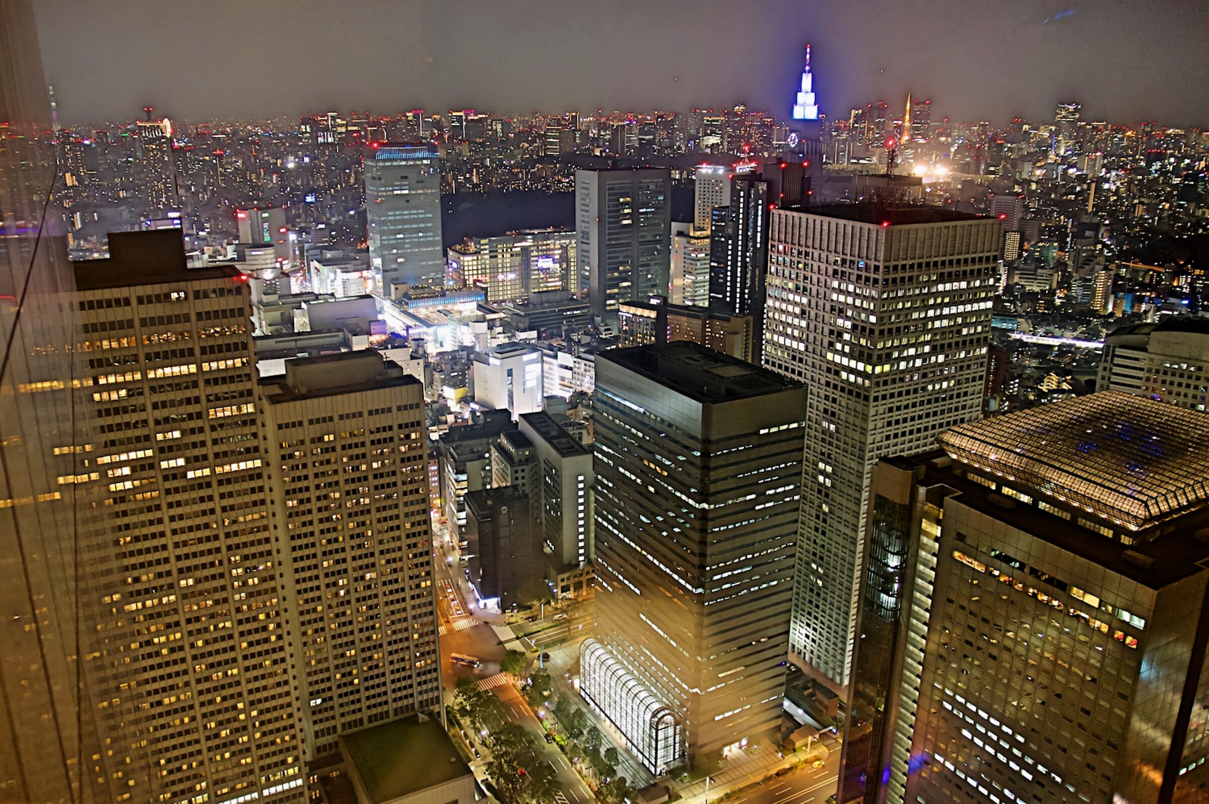 Tokyo from the top of the Government Palace