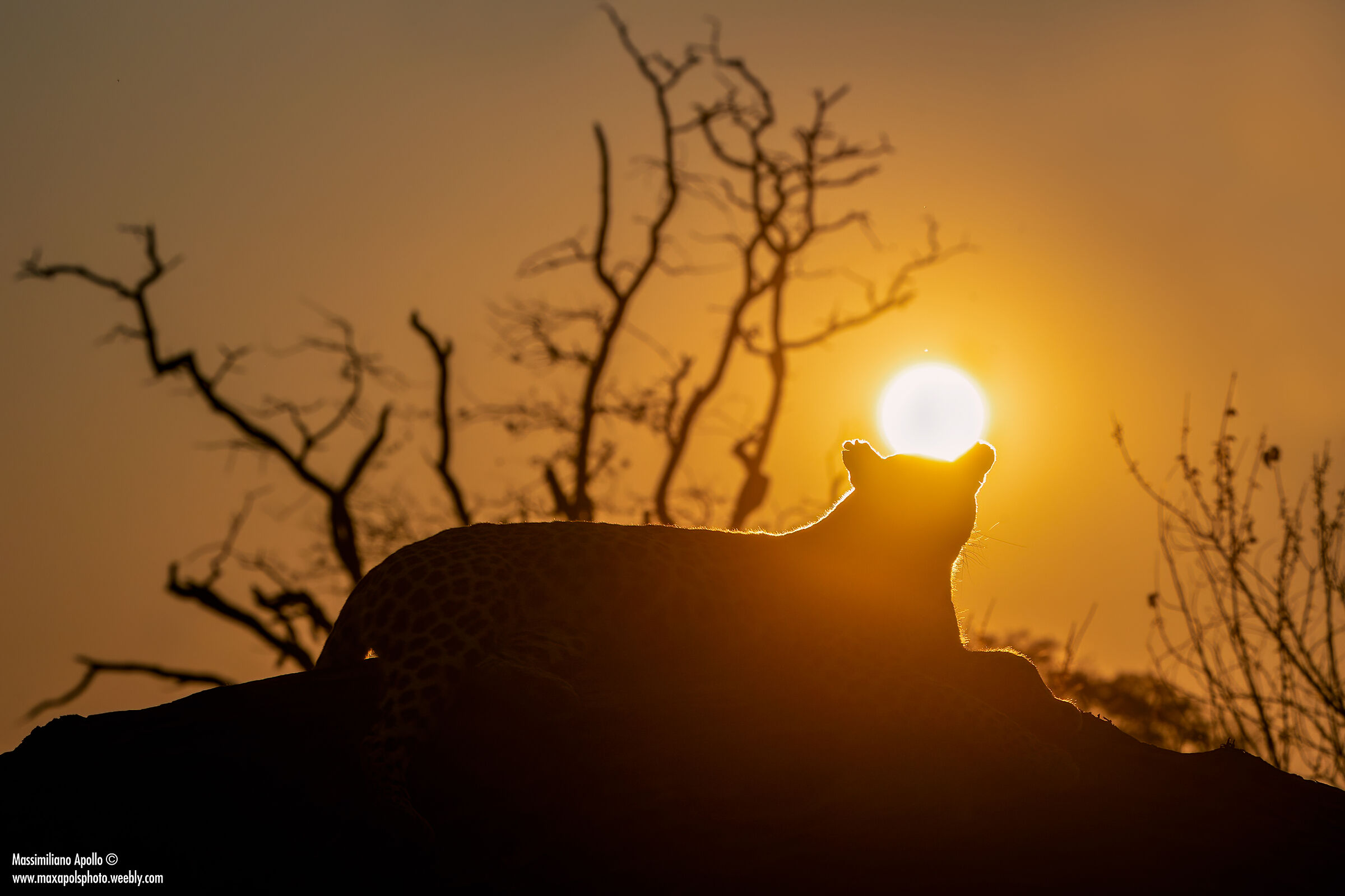 "My Africa..."
