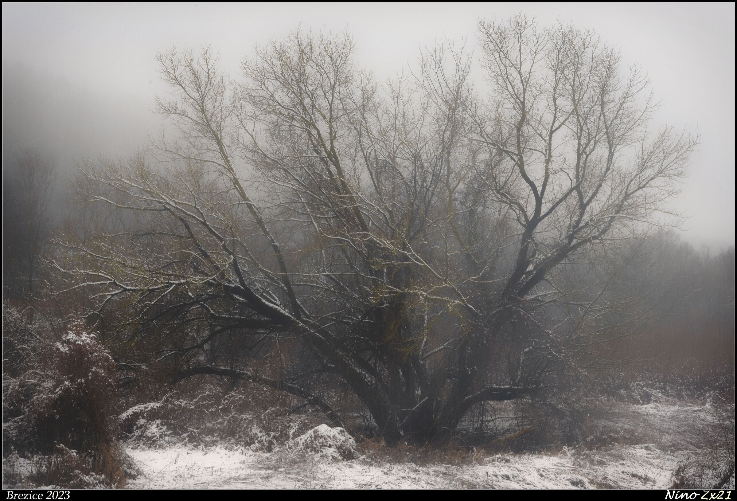 Winter