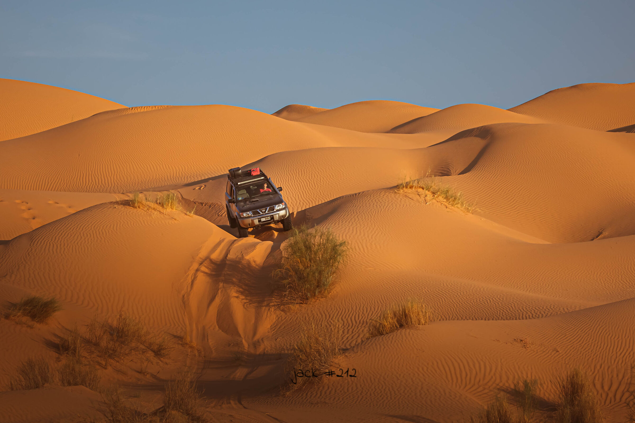 Dunes at sunset in Tunisia