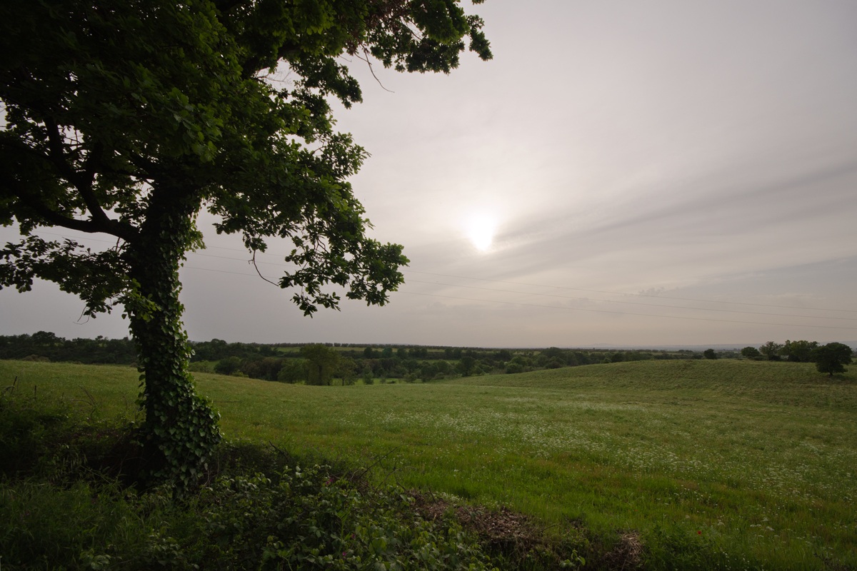 Portraits Primaverili