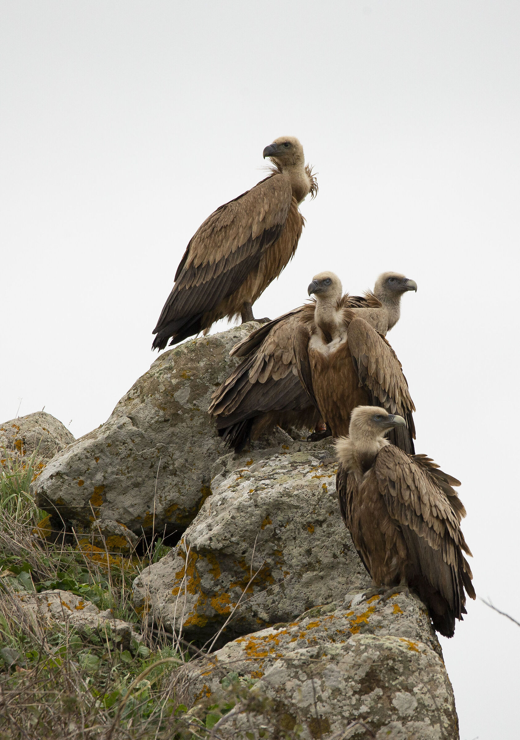 pausa post pranzo sul nuraghe