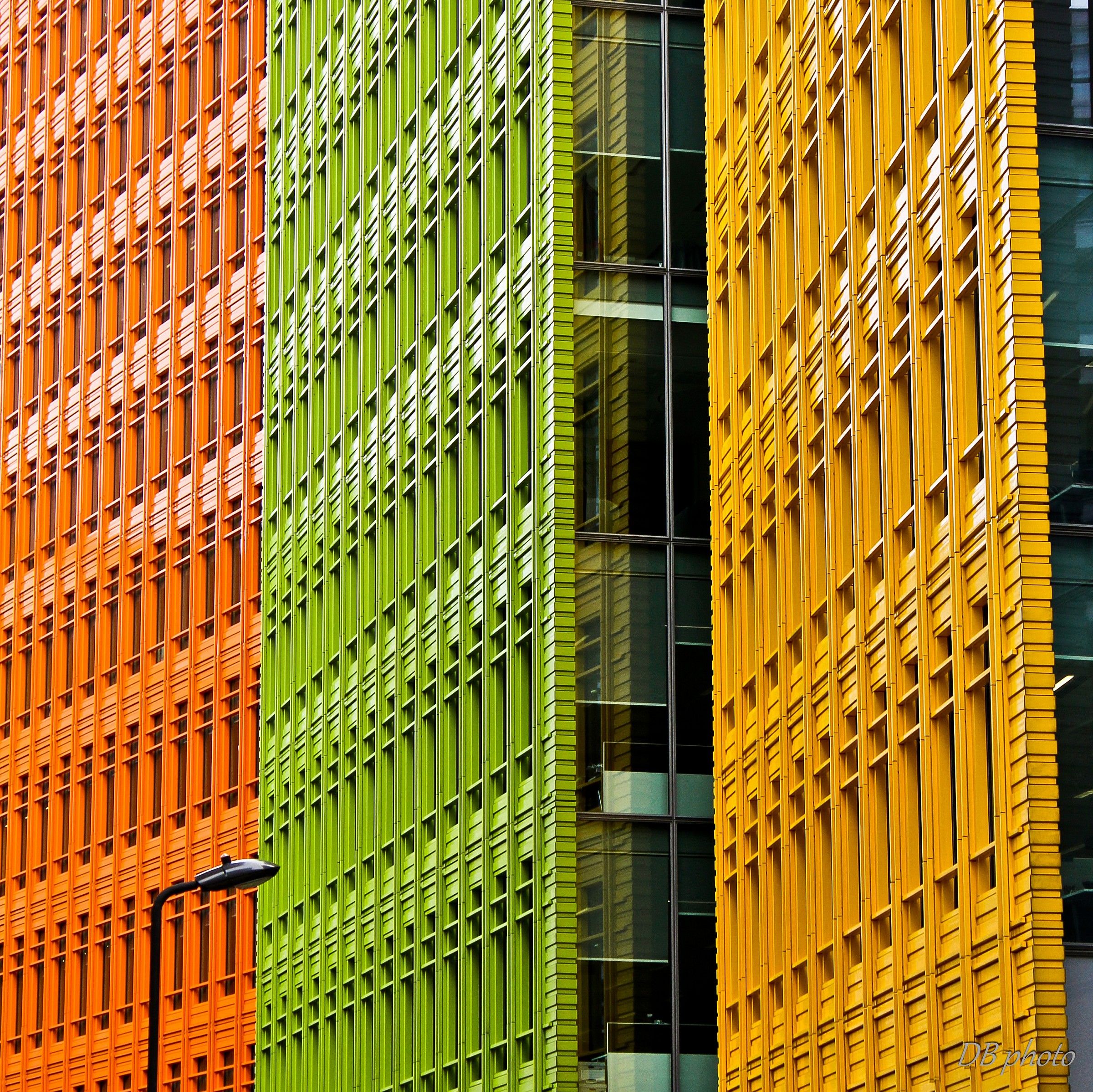 The colors of the city