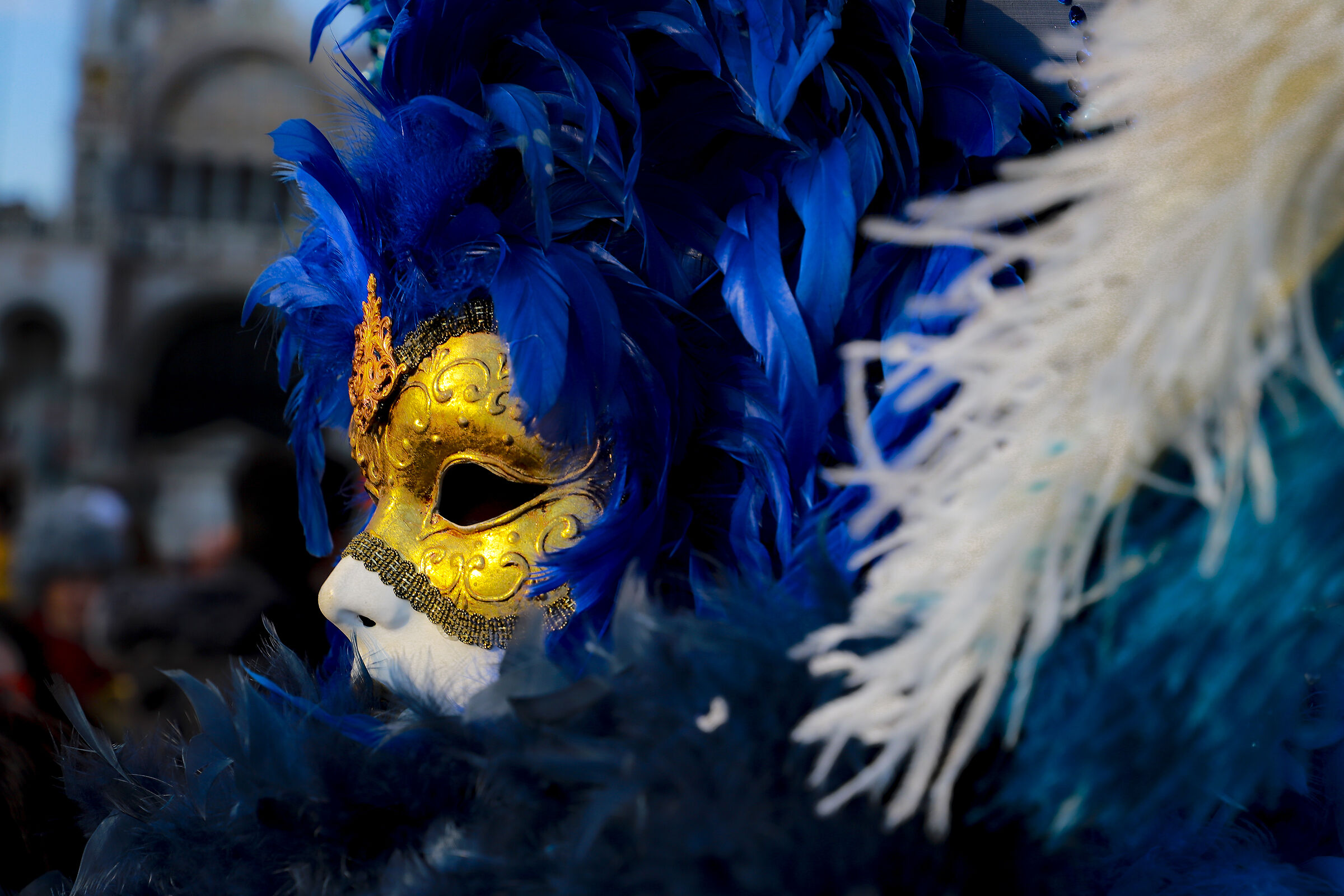 The new Carnival has begun