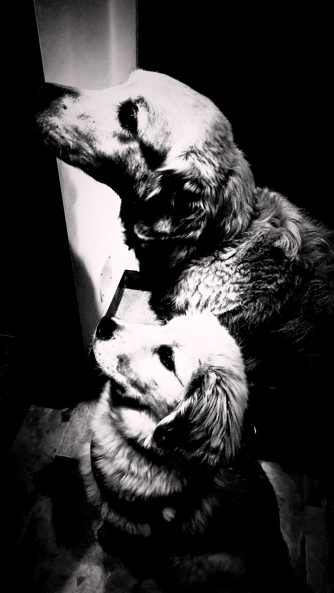 The two toy soldiers...