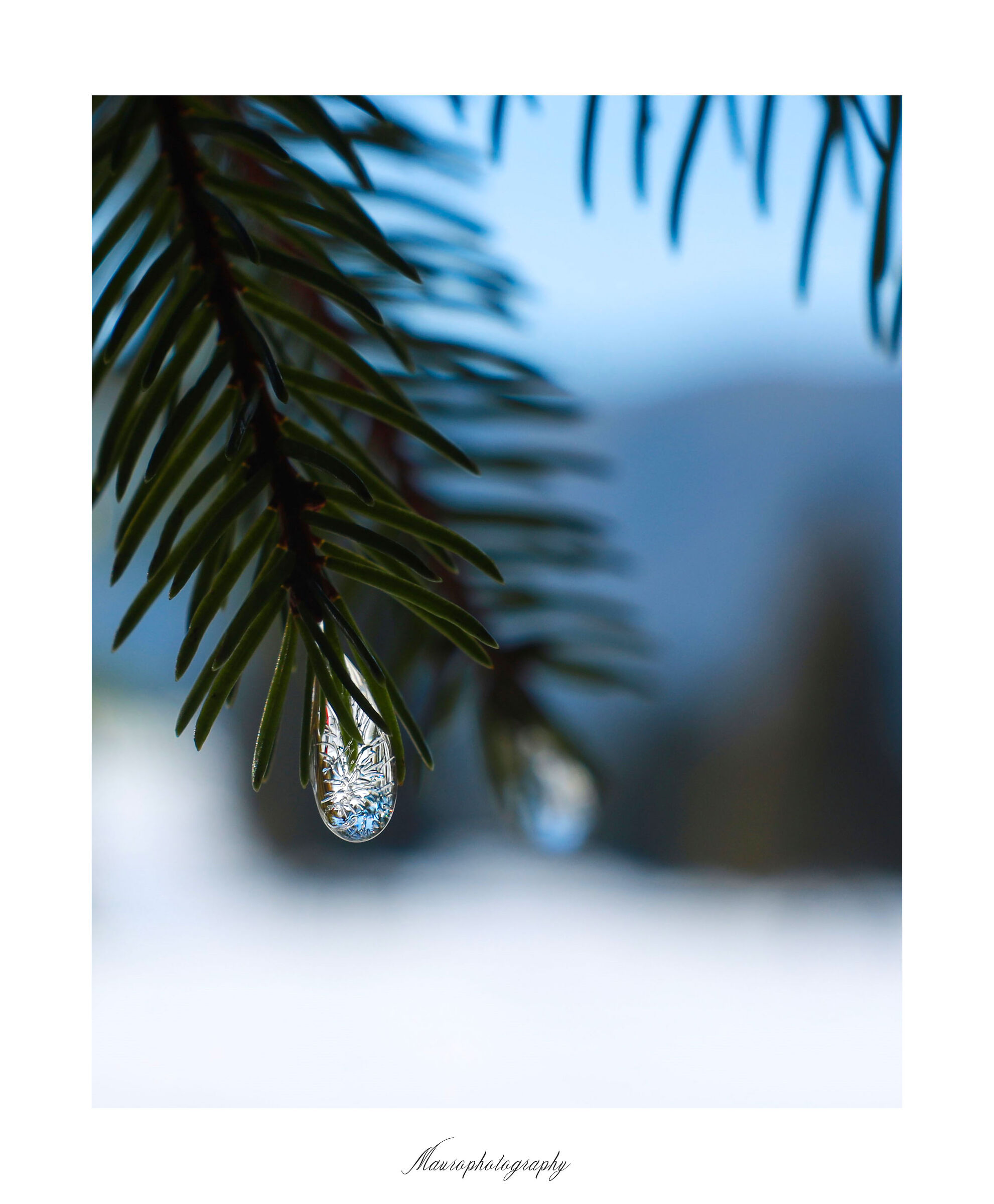 Cristallizzazione