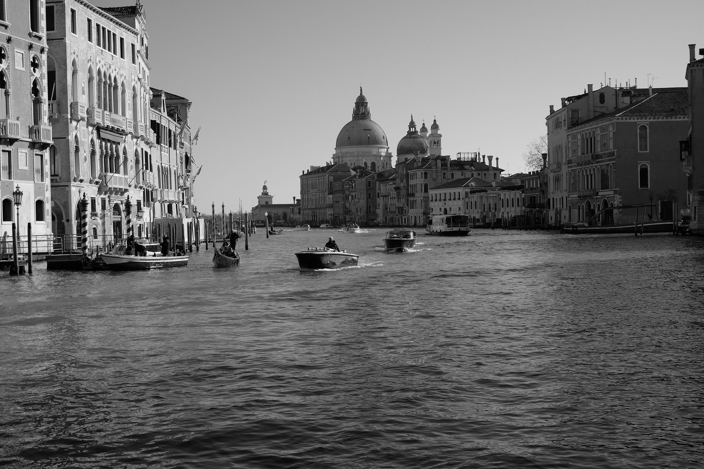 Prospettive accademiche