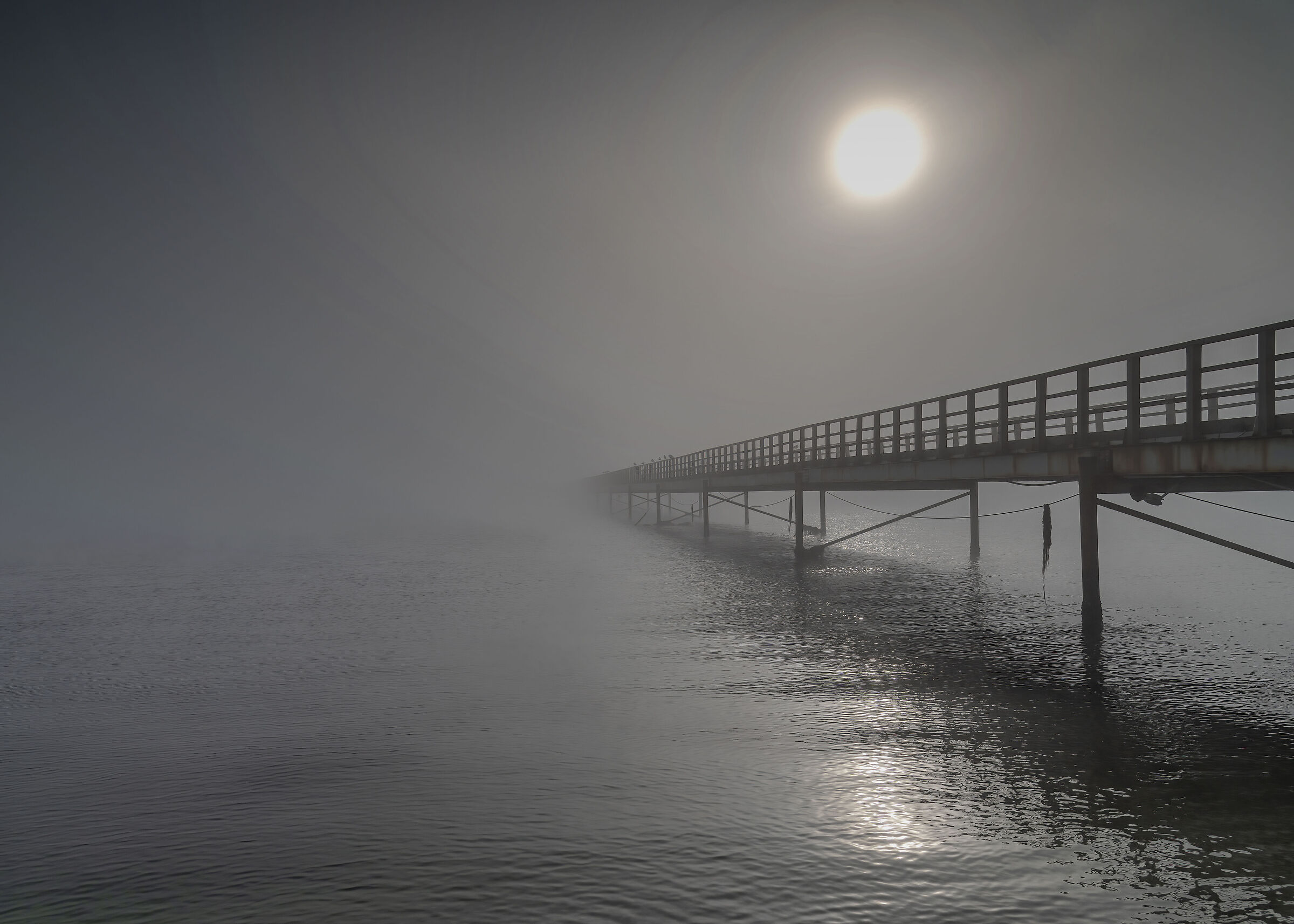 Wharf into the unknown