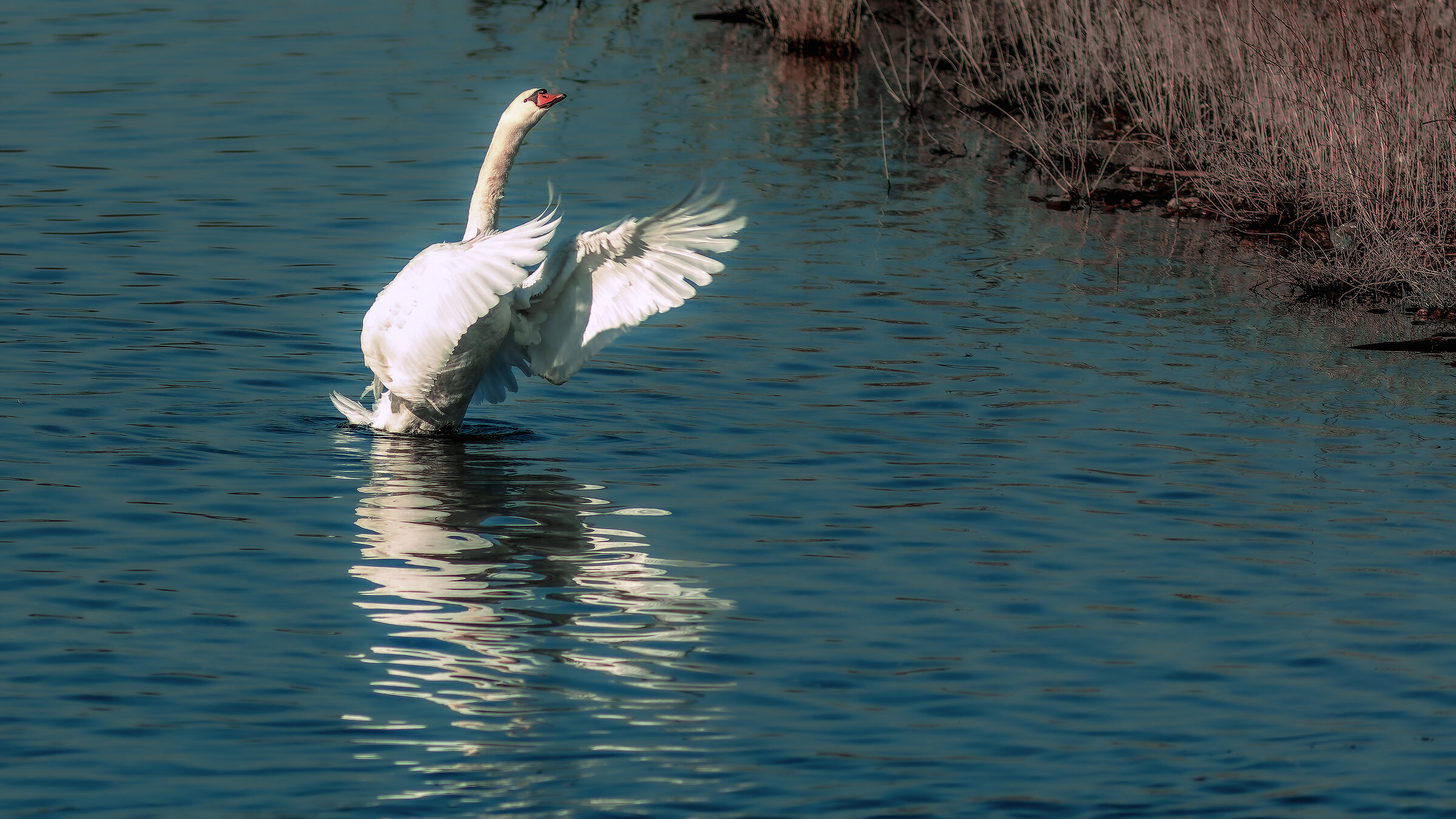 Love come!!!!!!!!!!!!!