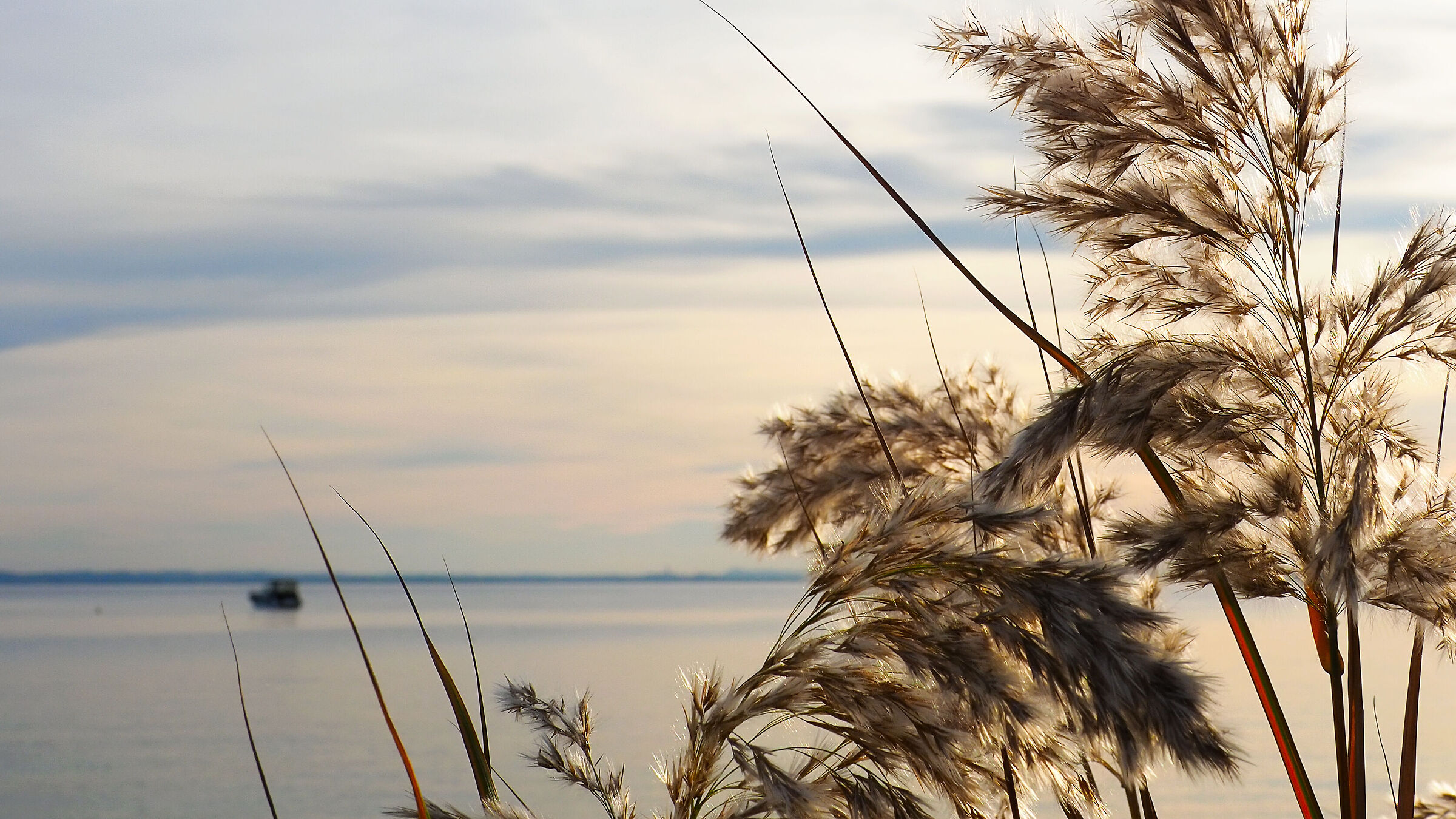 lightness and freedom