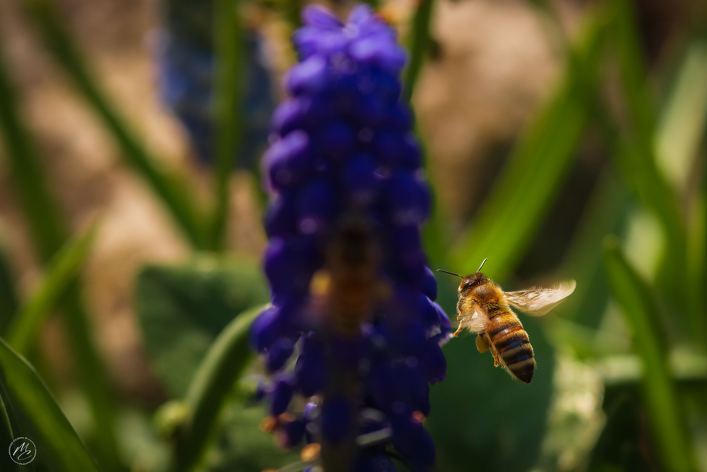In flight