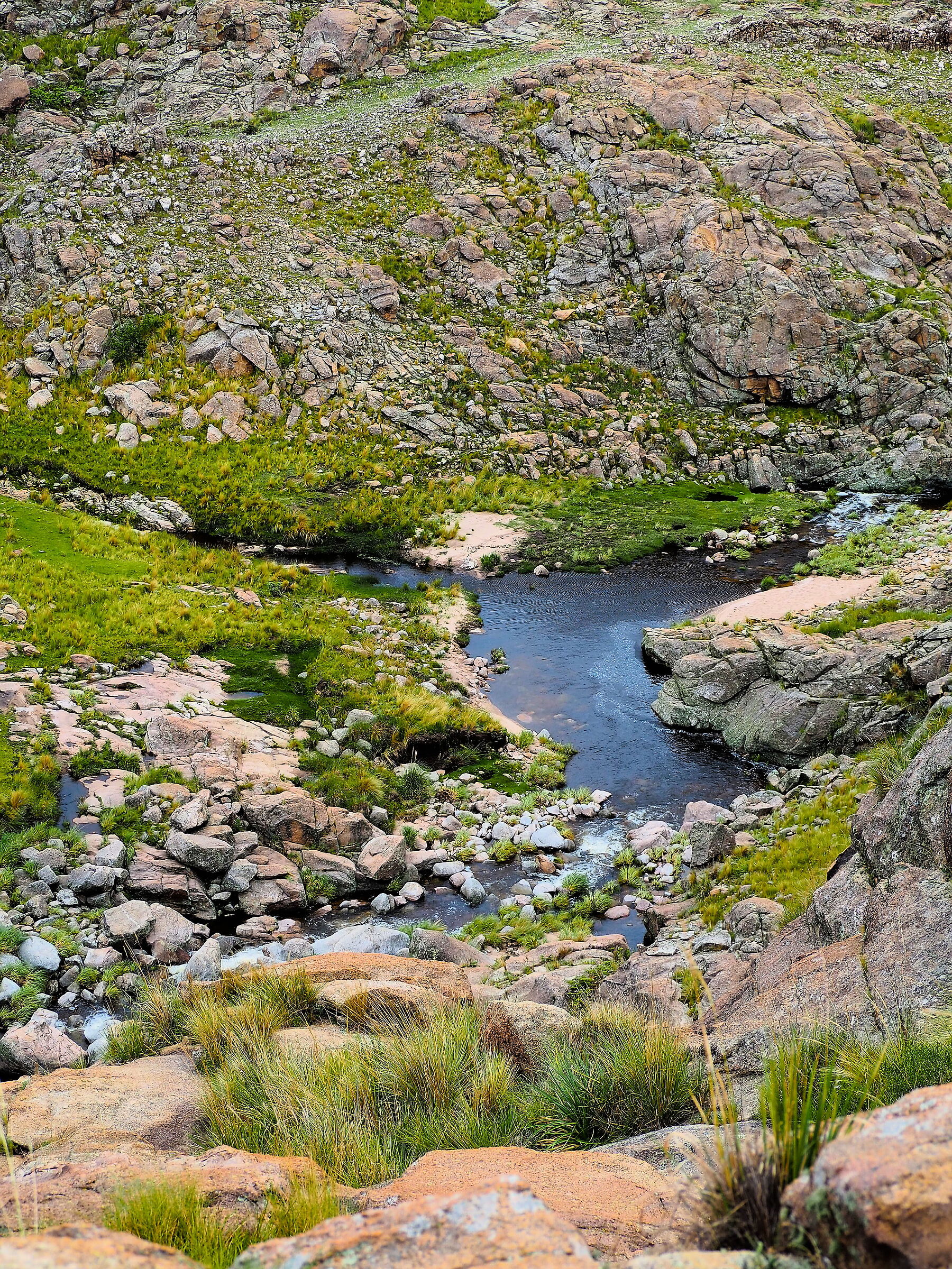 Taruca Pampa, Córdoba, Argentina