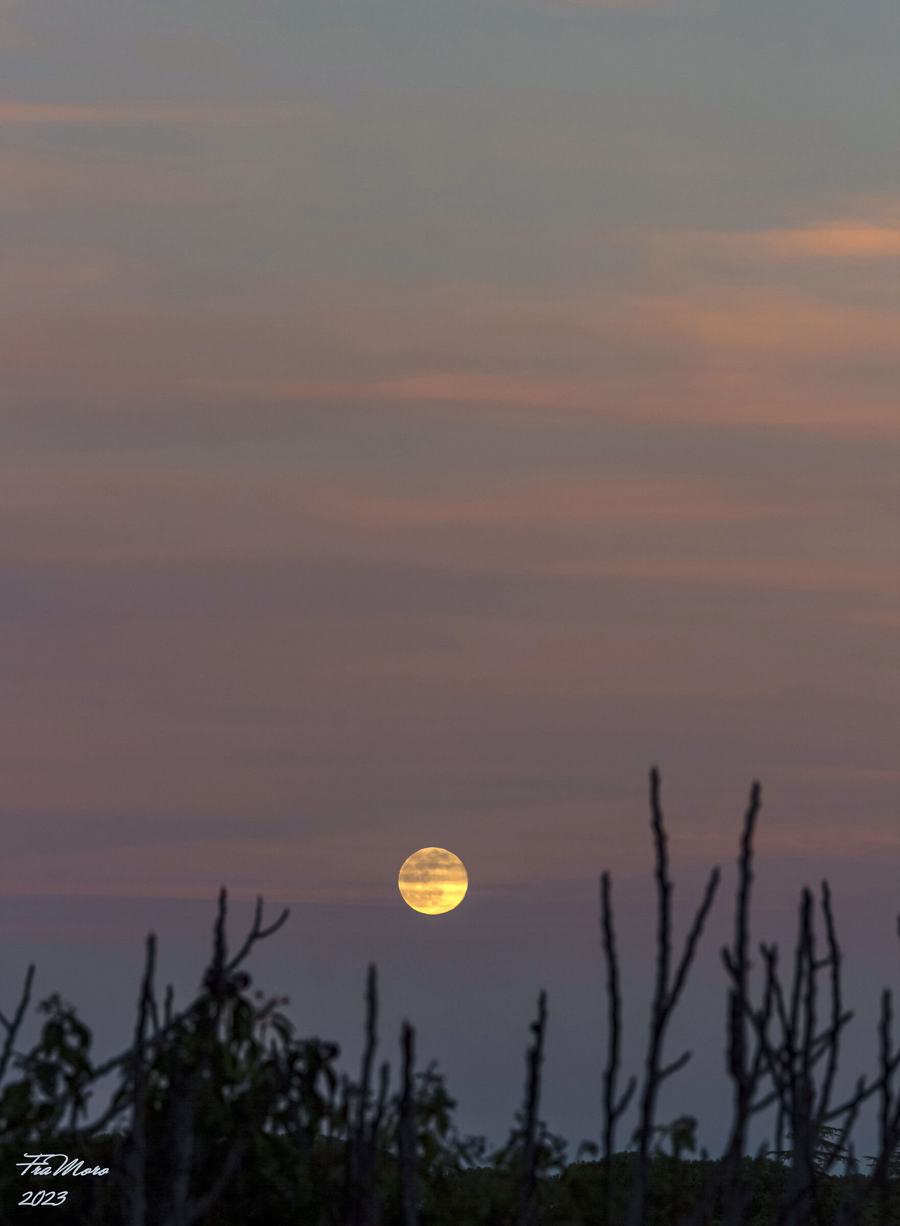 La Luna della Neve 2023