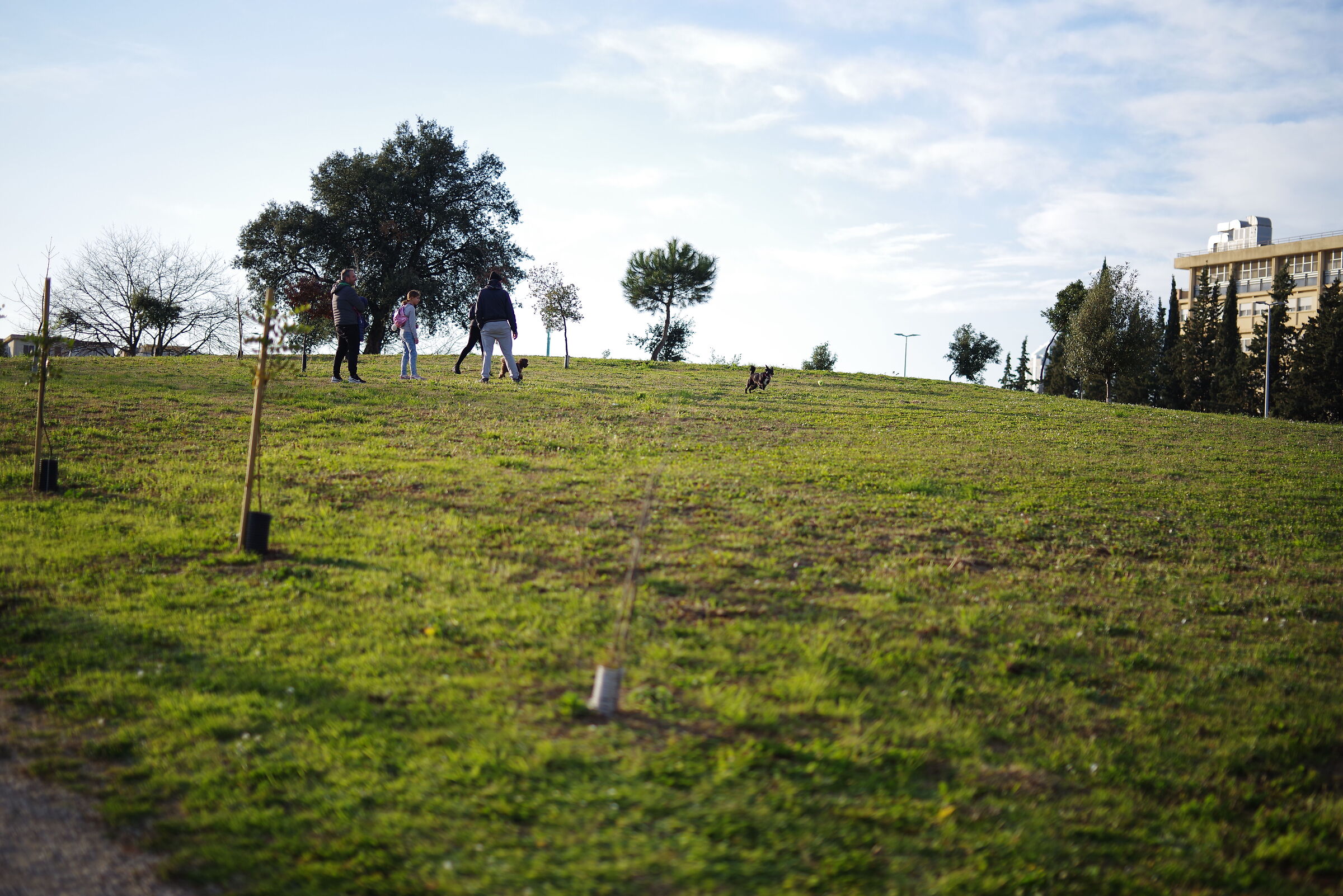 passeggiata al parco