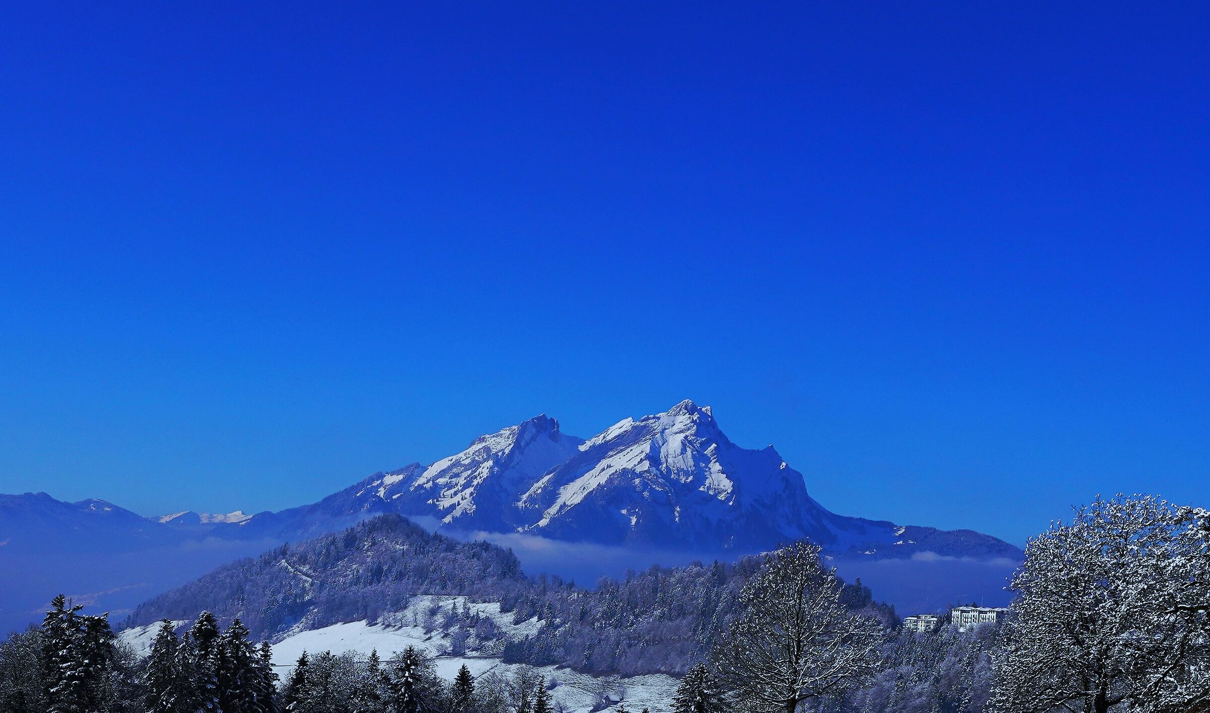 Paesaggio invernale