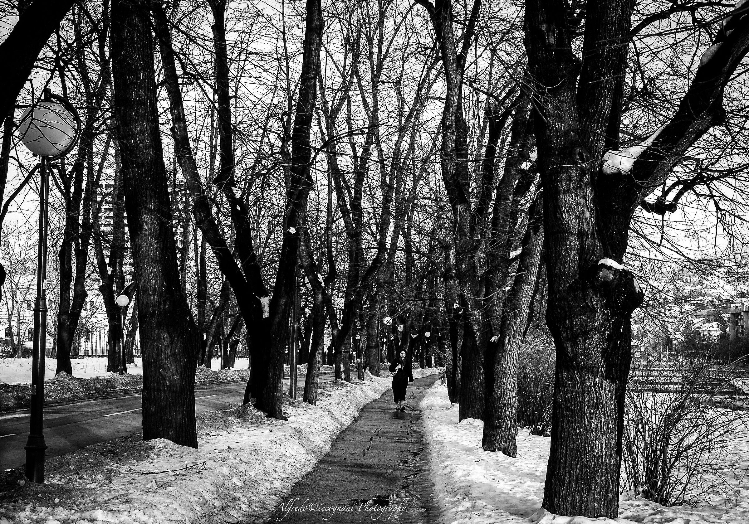 Avenue along the Milijaka in Sarajevo