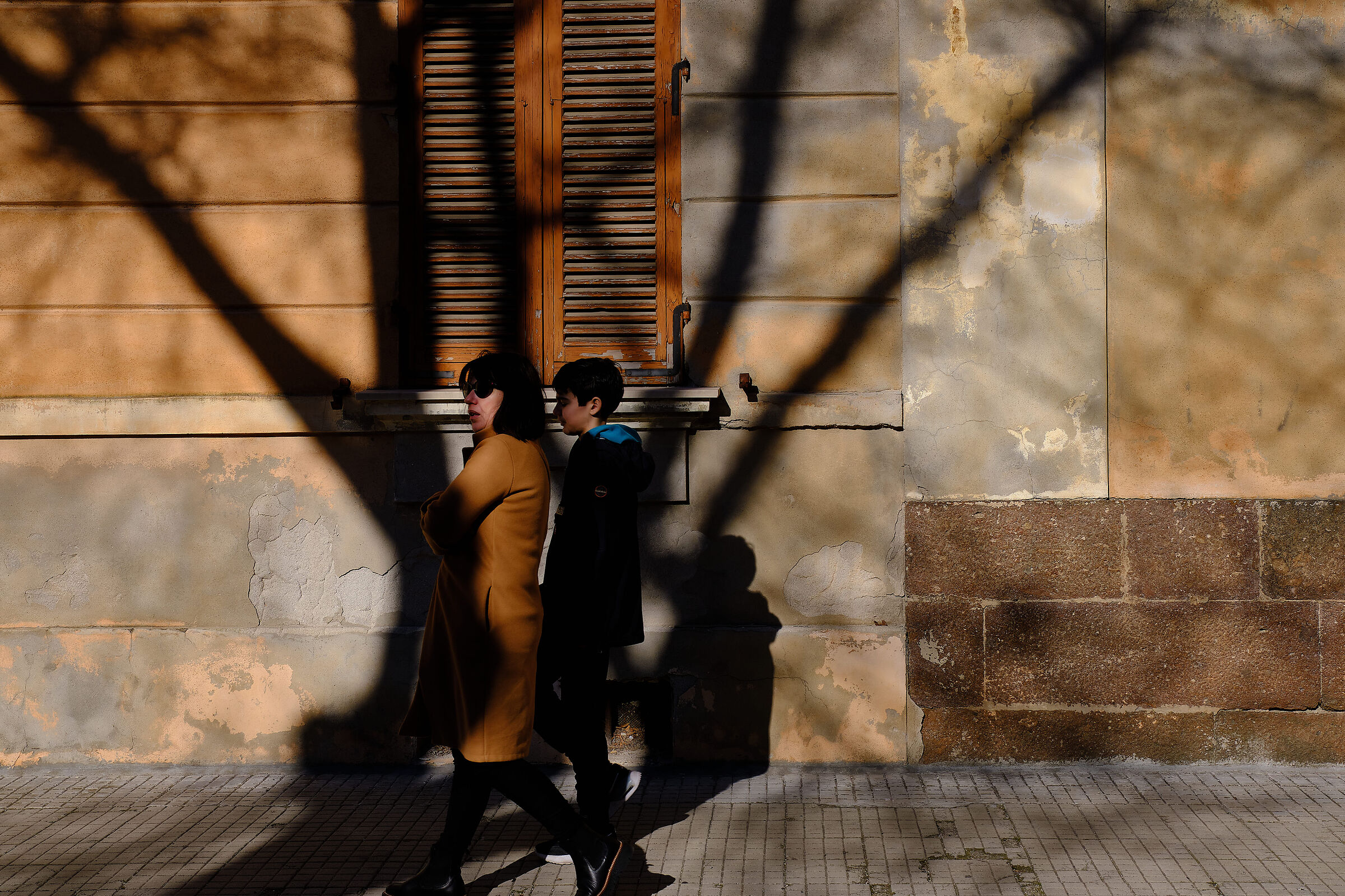 Shadows