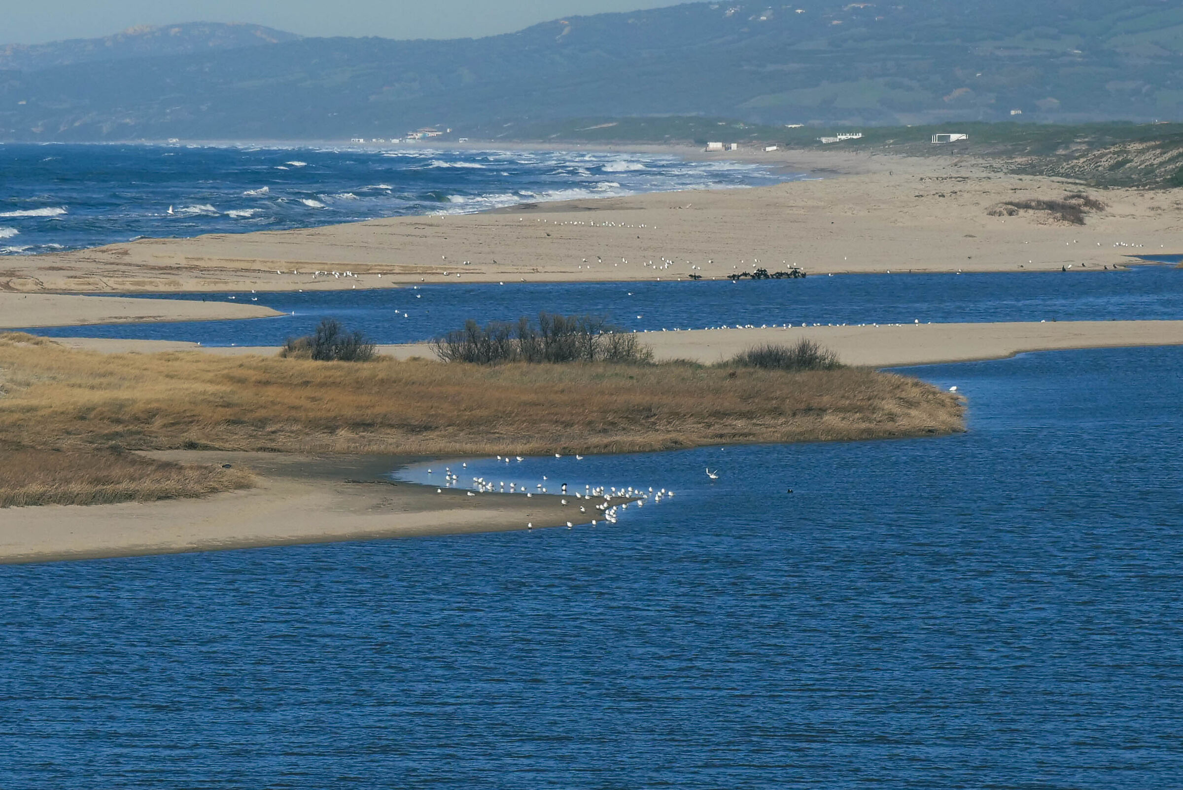 alle foci del coghinas
