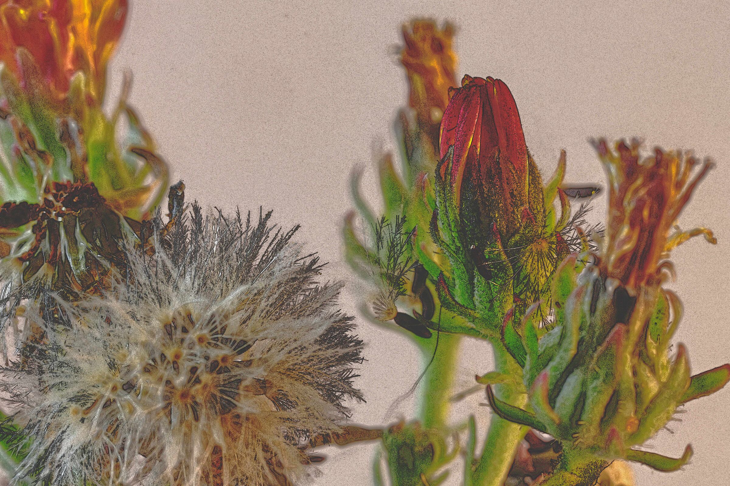 The three stages of the shower head