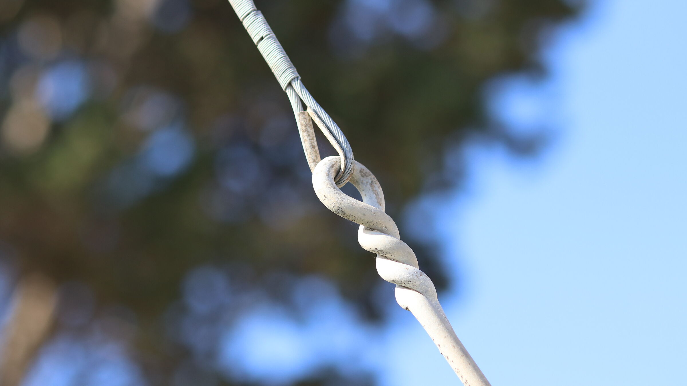 " Crop 216 ", Canon 135 F. 2 L Usm - D 80