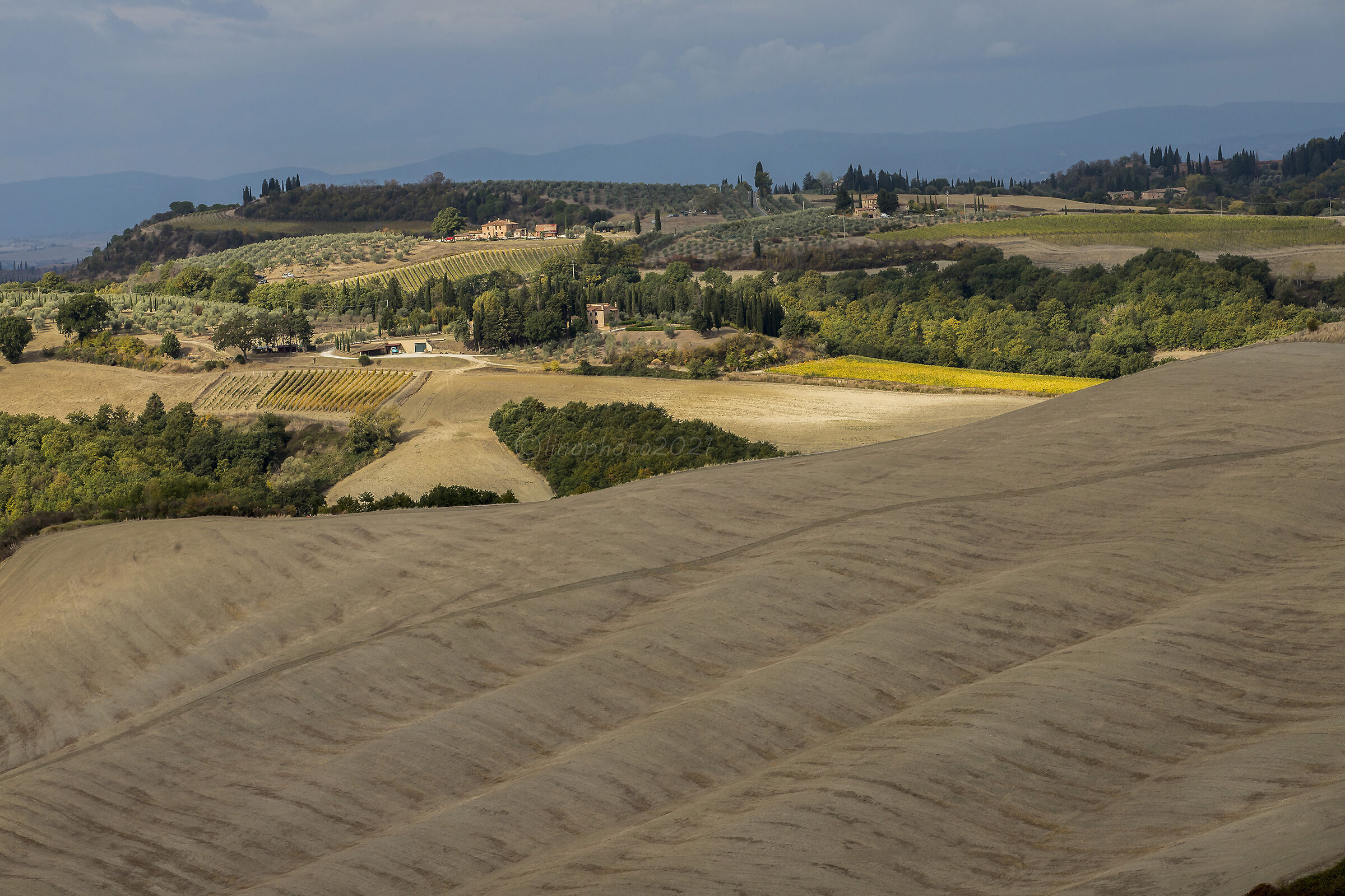 Crete senesi in autunno