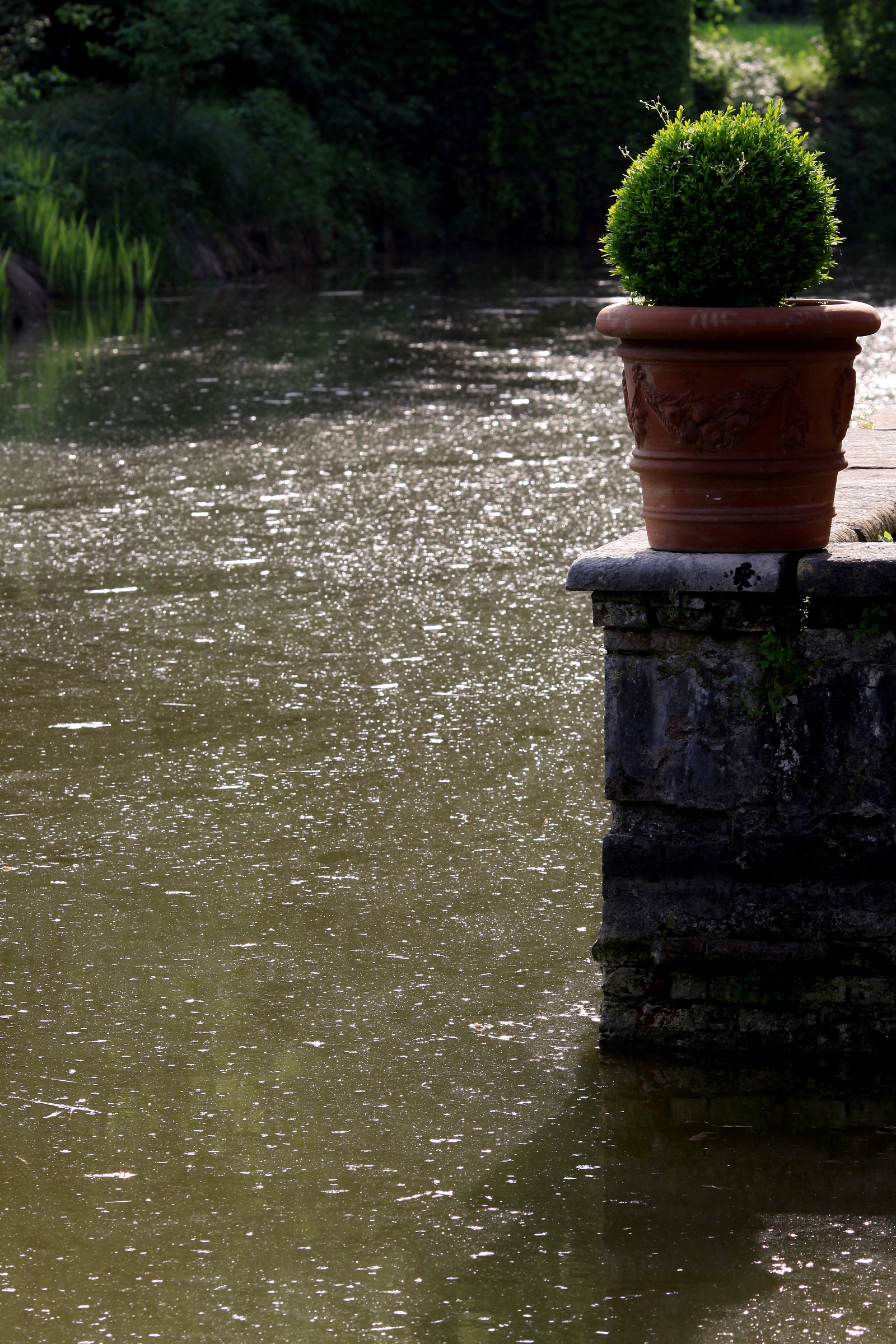 Castle Padernello details
