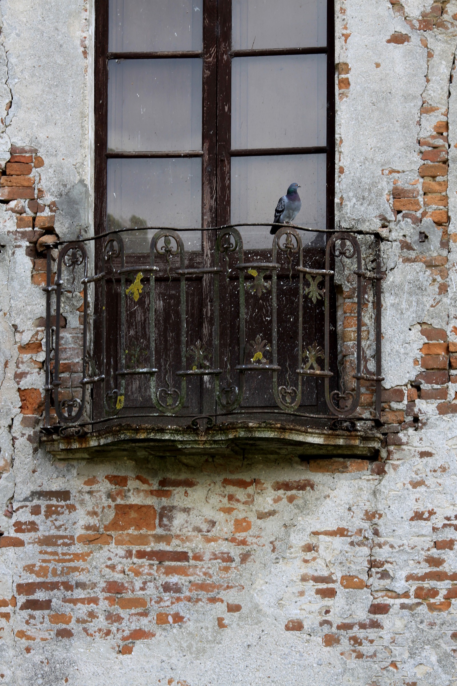 Padernello Castle, the castle ...