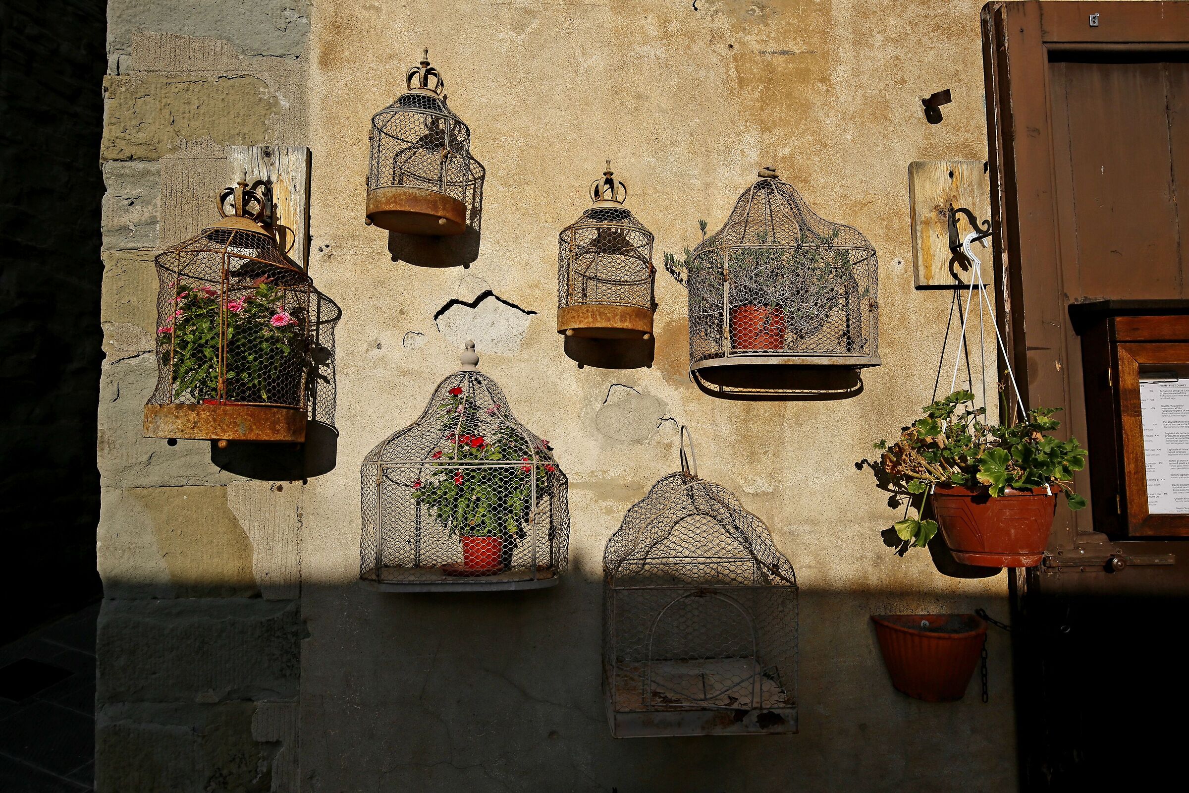 In cage ...  in the alleys of Cortona