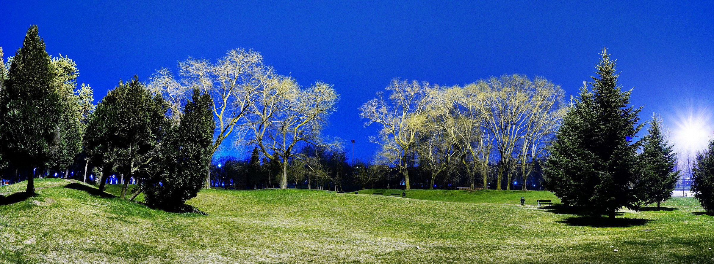 Great panoramic view of night park