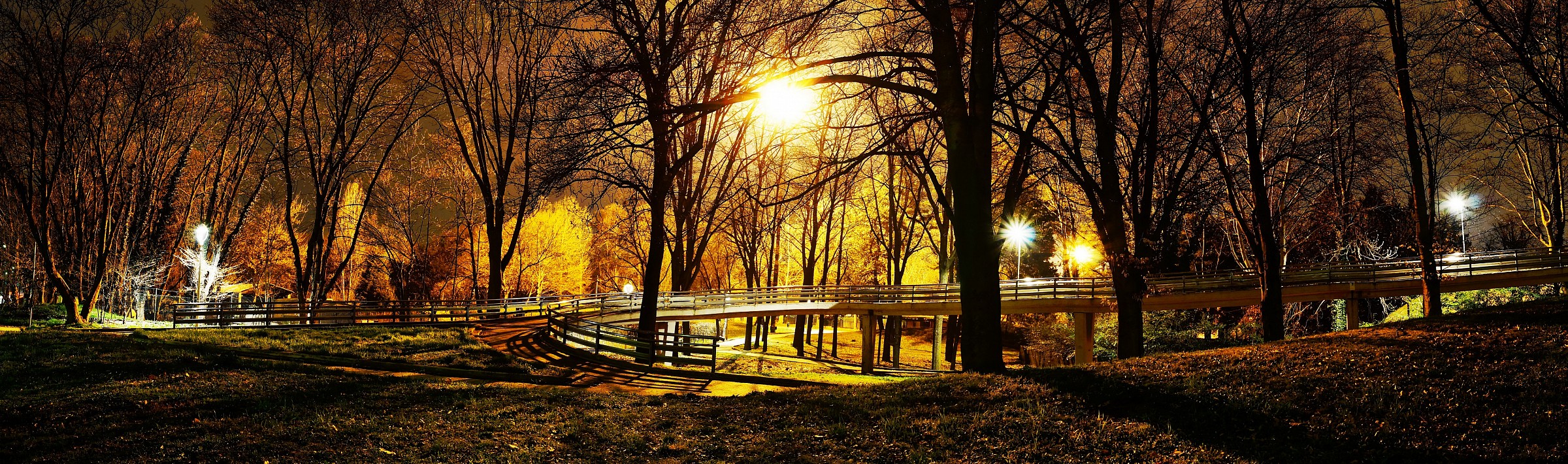 It seems like autumn