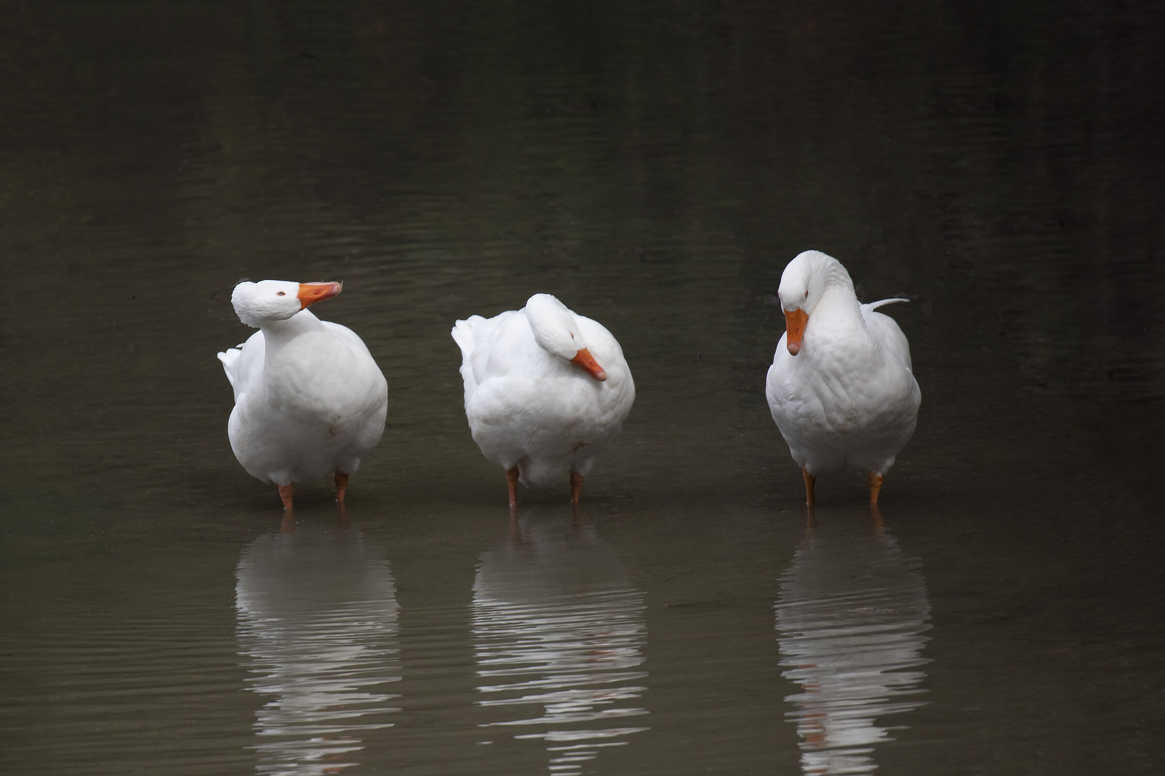 Three non-linear thoughts...