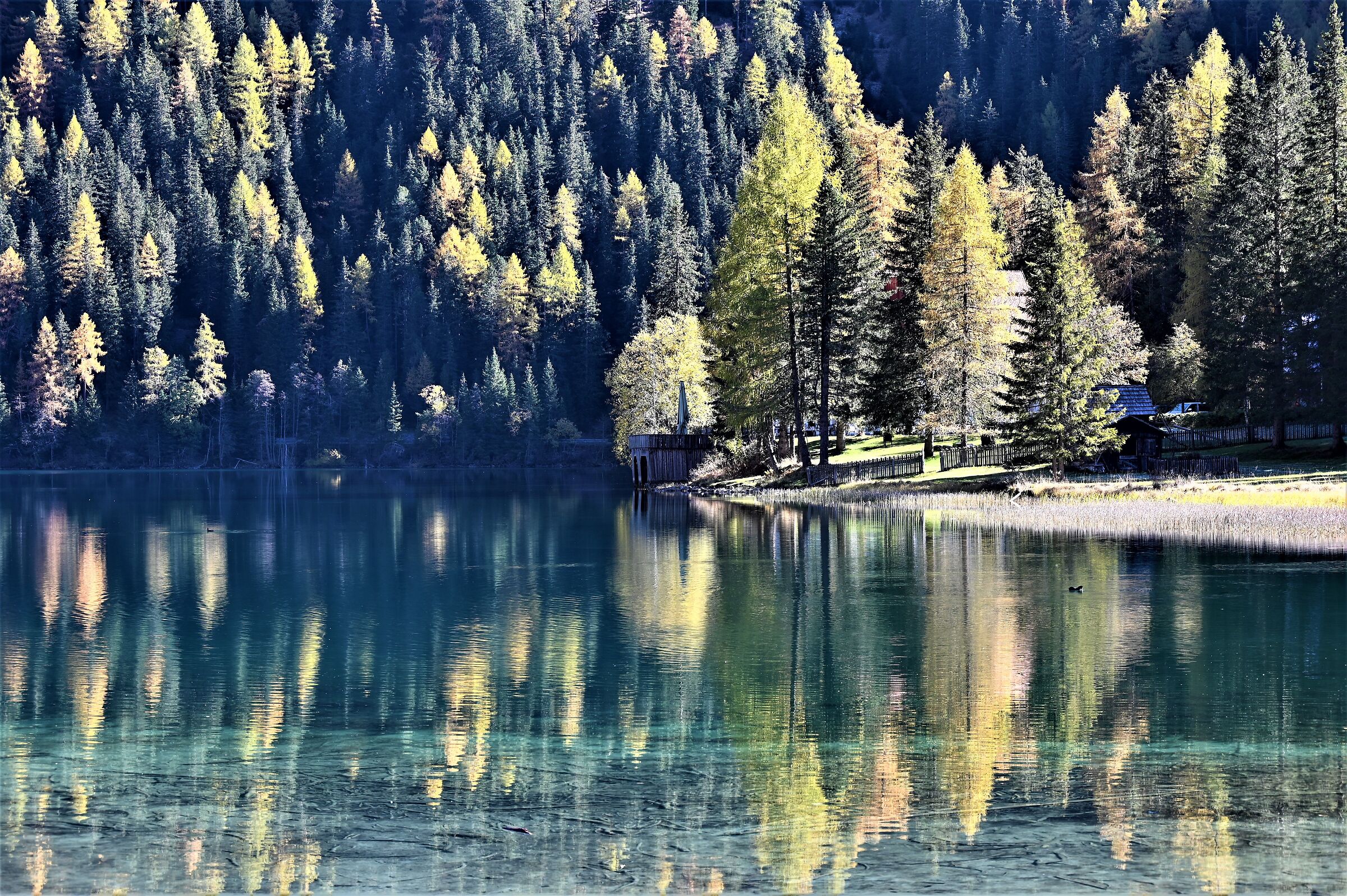 Looking for a bit of light to pull me up'