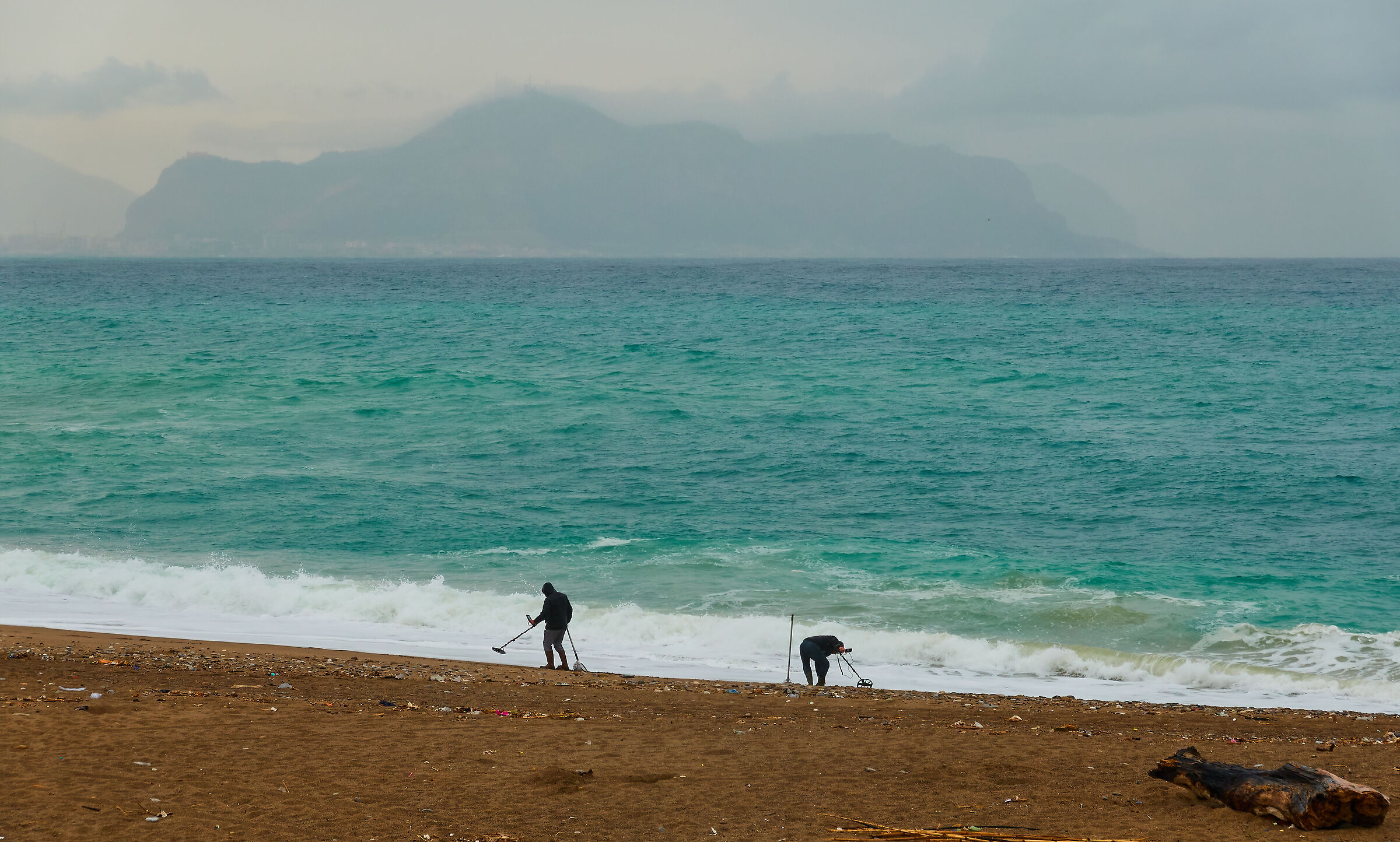 Ecologia nella tempesta