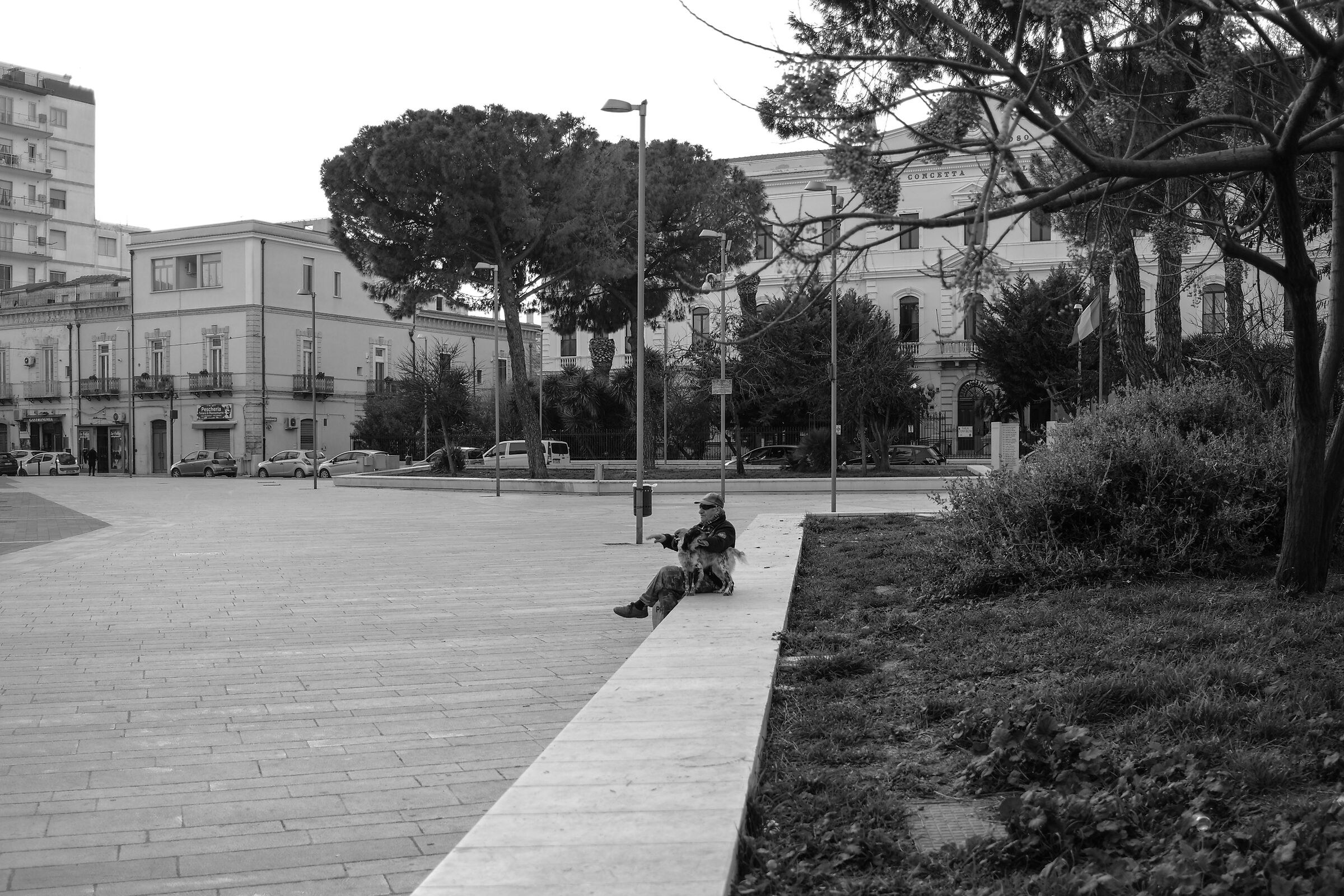 Friends in the square