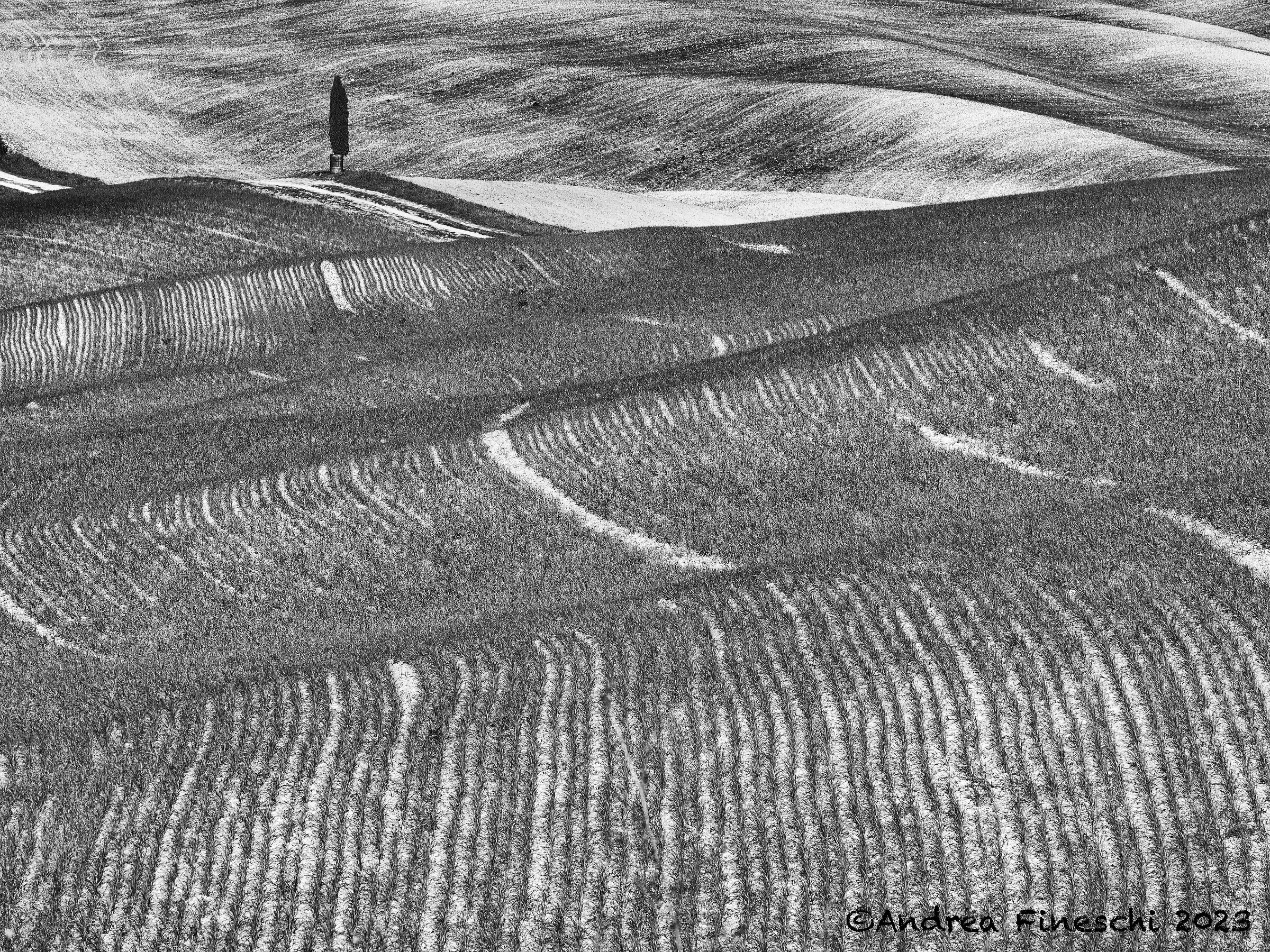 The waves of San Quirico d'Orcia