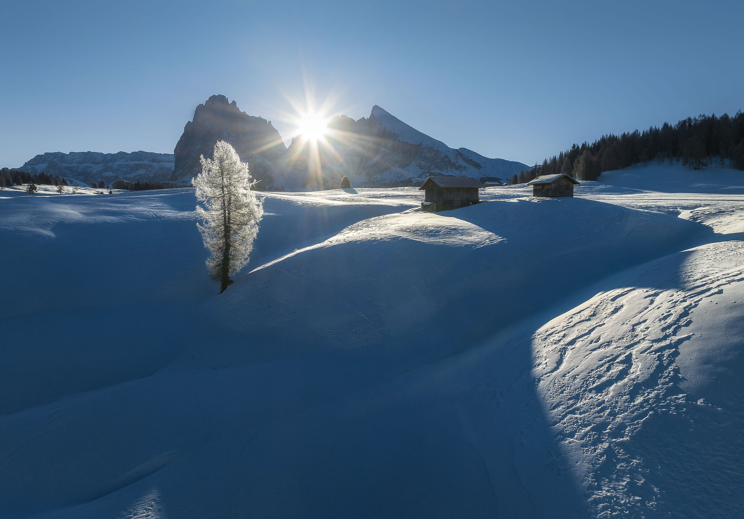 Another one from the Seiser Alm winter paradise