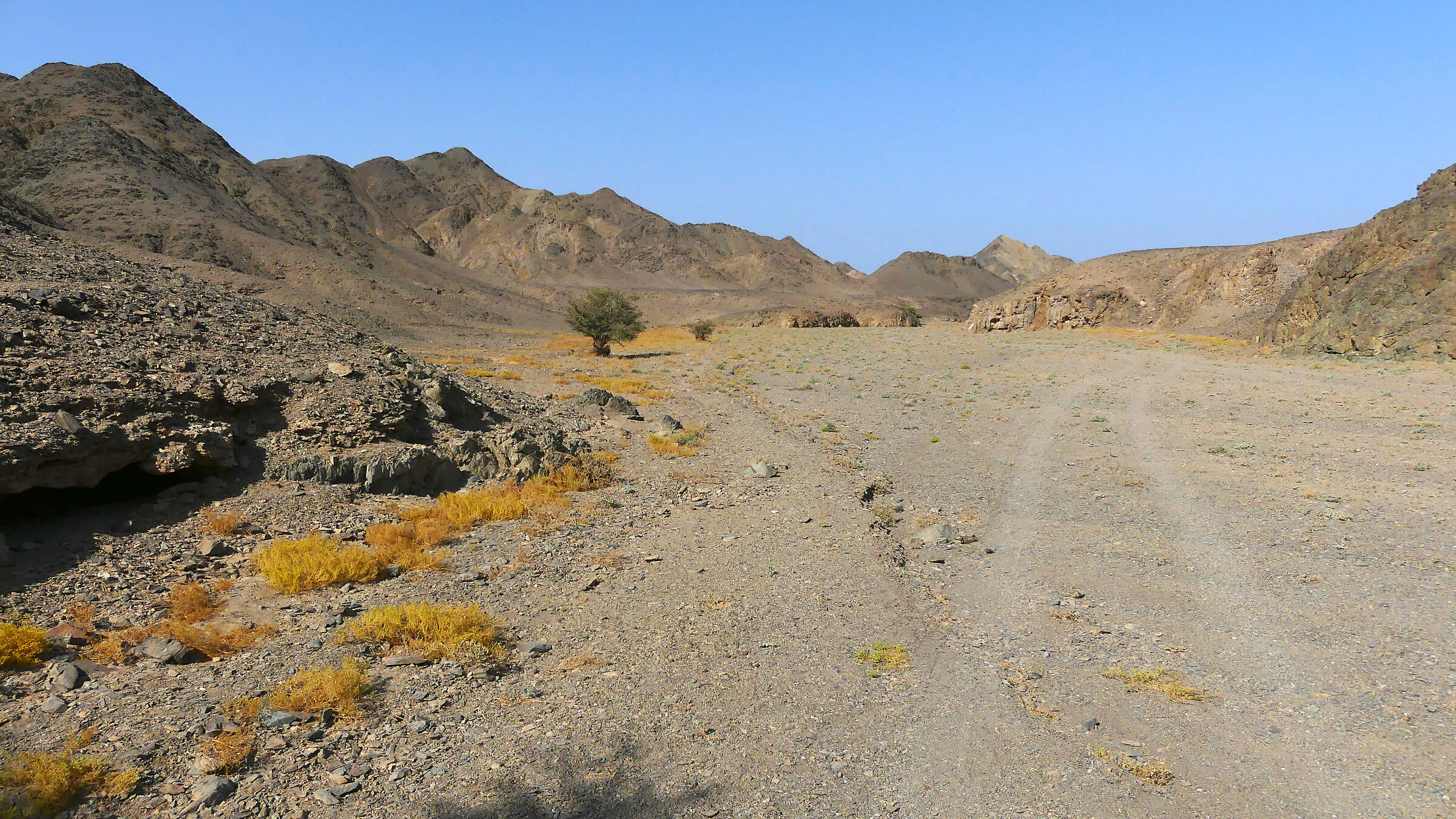 Desert and mountains