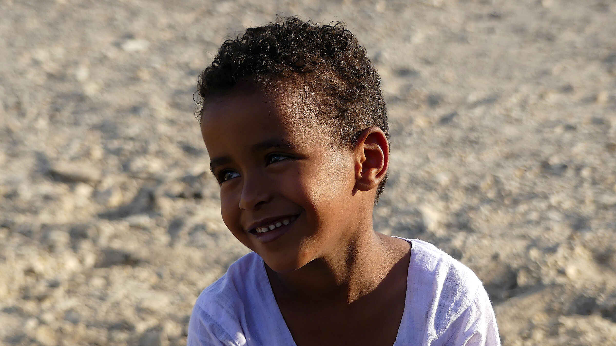 The little Bedouin