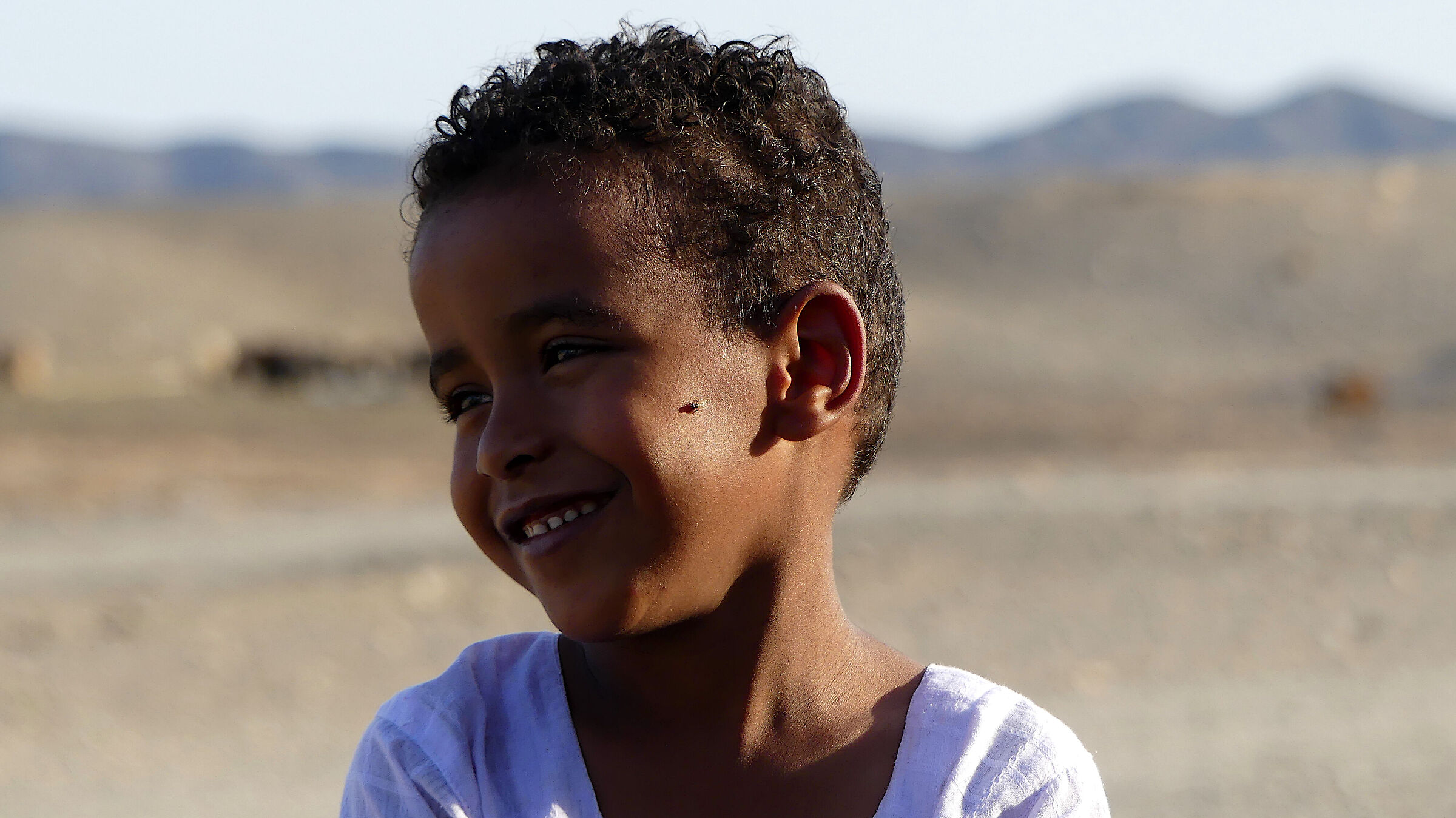 The Little Bedouin 3