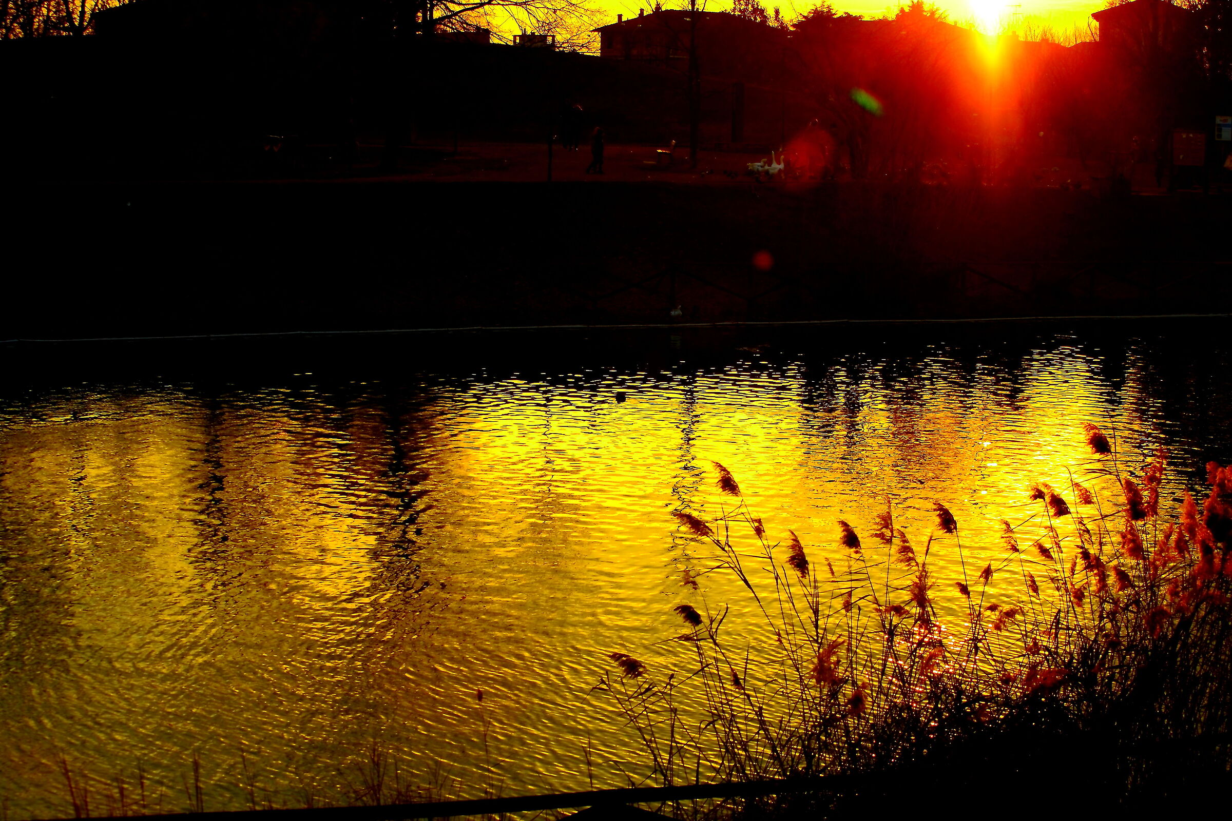 Lake Arcoveggio Bologna - Italy