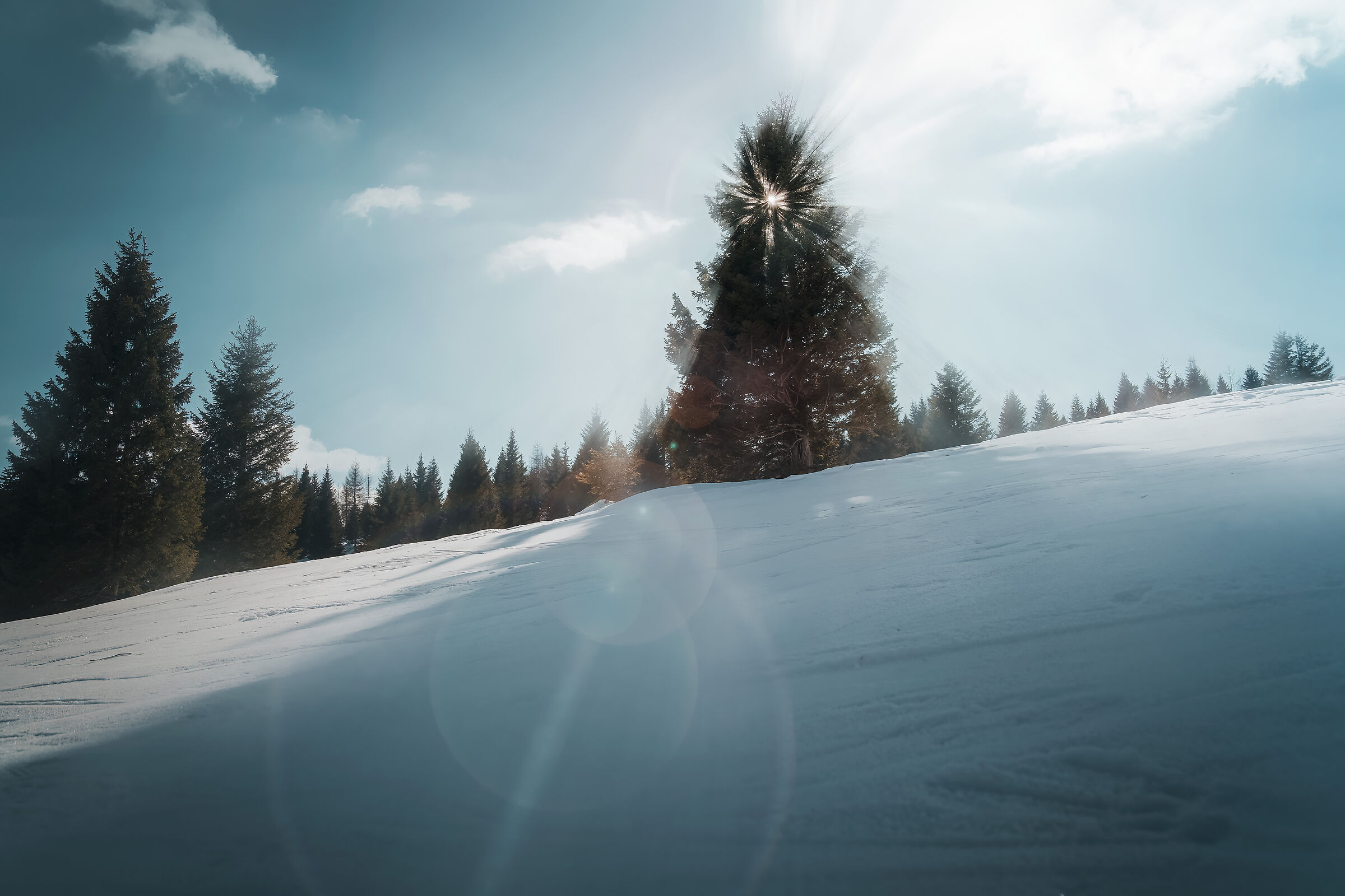Immerso fra i Boschi