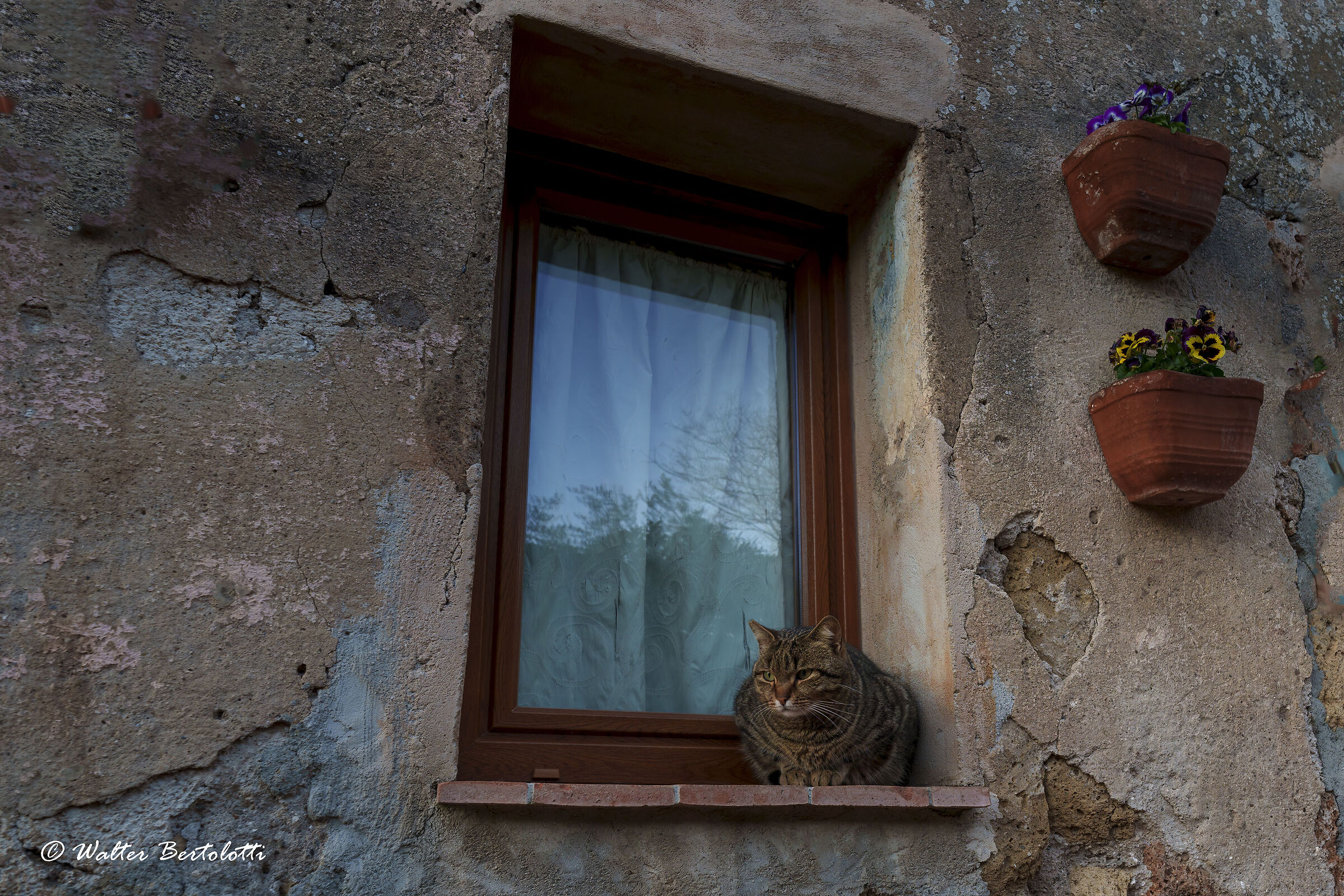 at the window