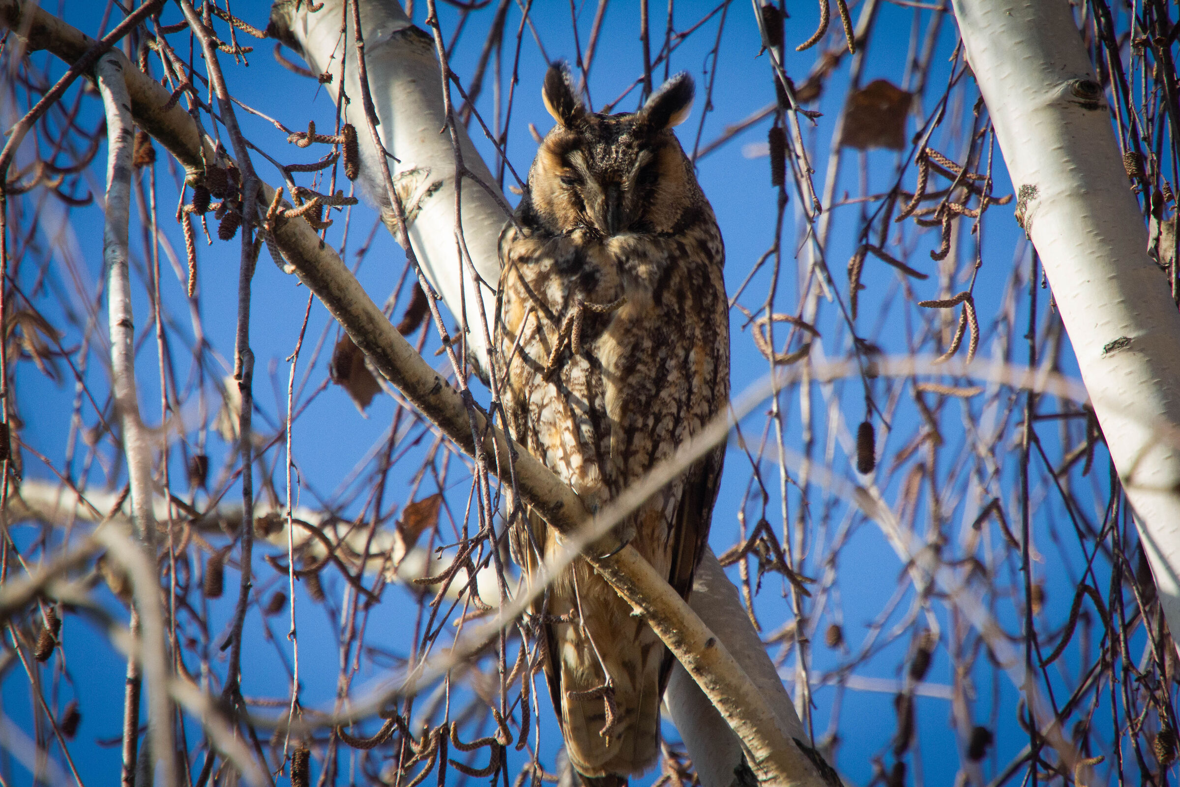 Good night or Good morning?