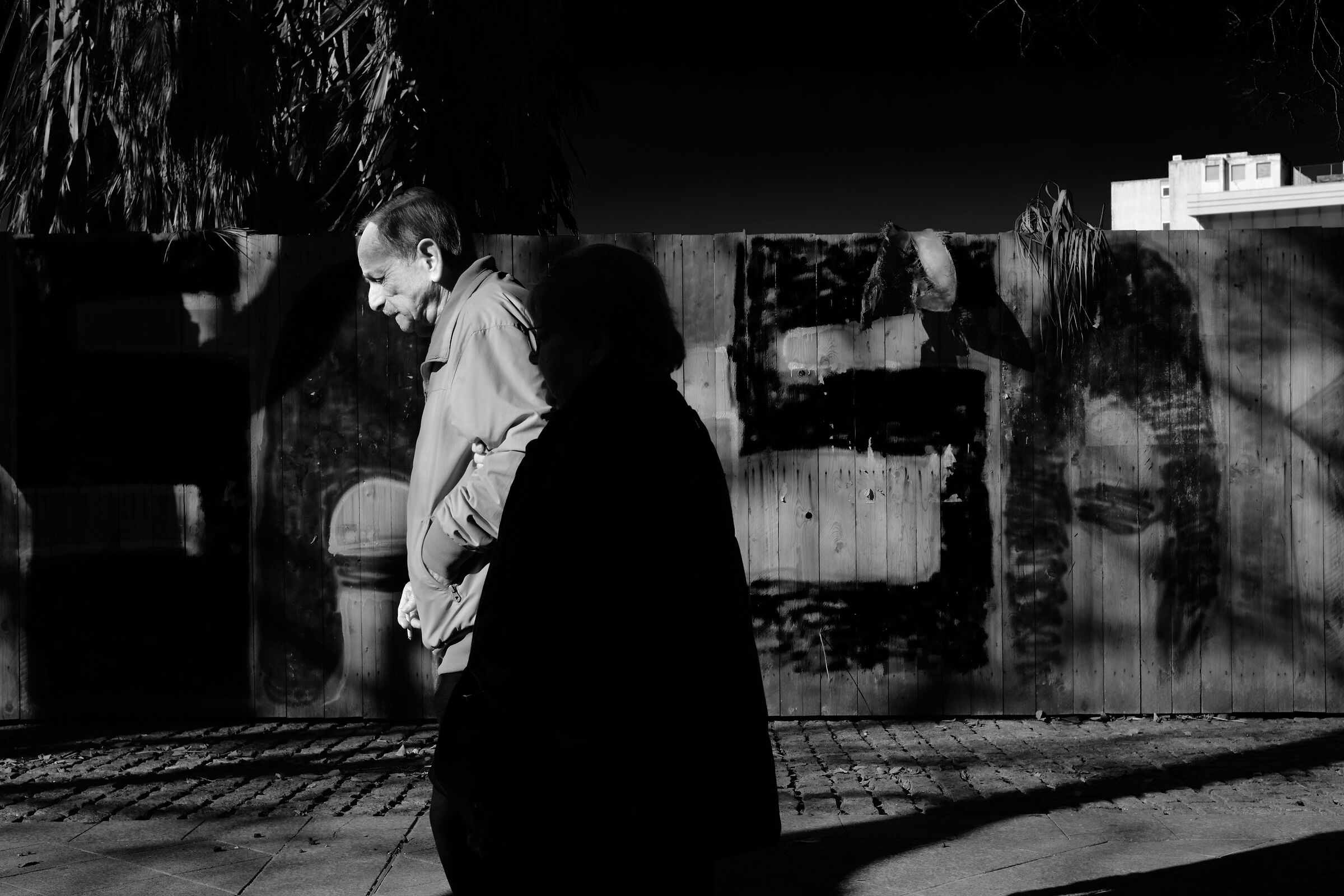 shadows